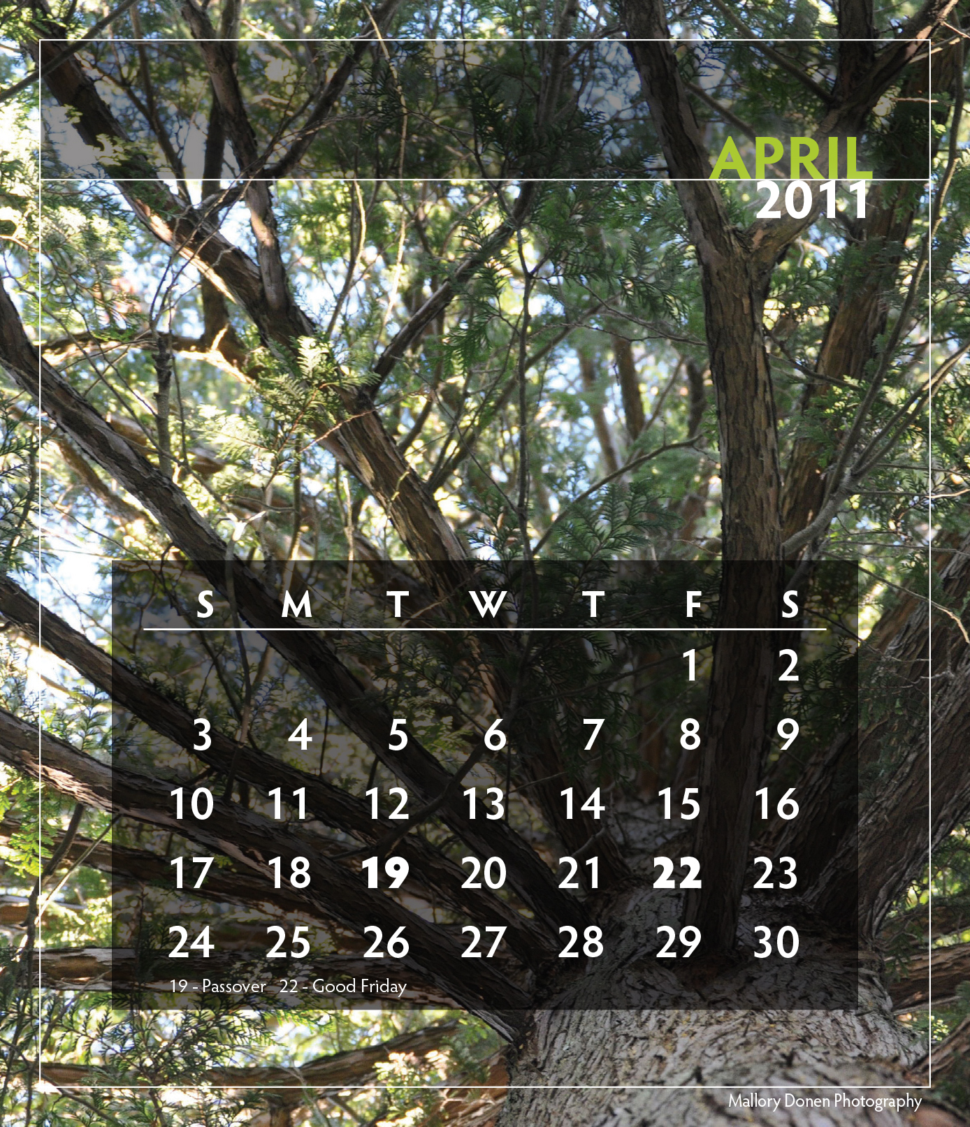 2011Donen_Calendar-5.jpg