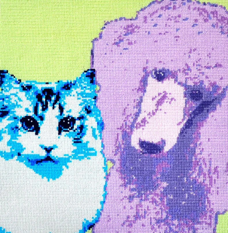 Willow-Flirt.jpg
