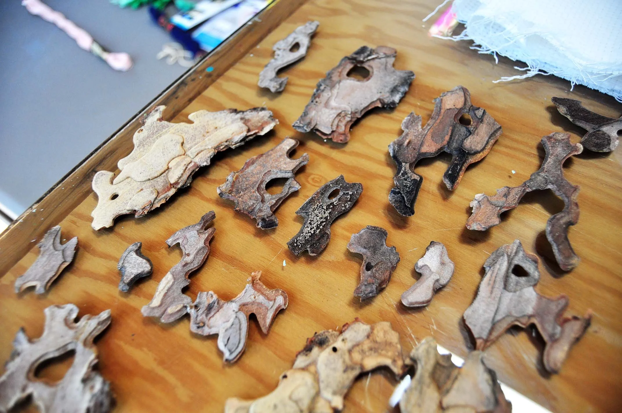 Bark collection (Ponderosa Pine sheddings)