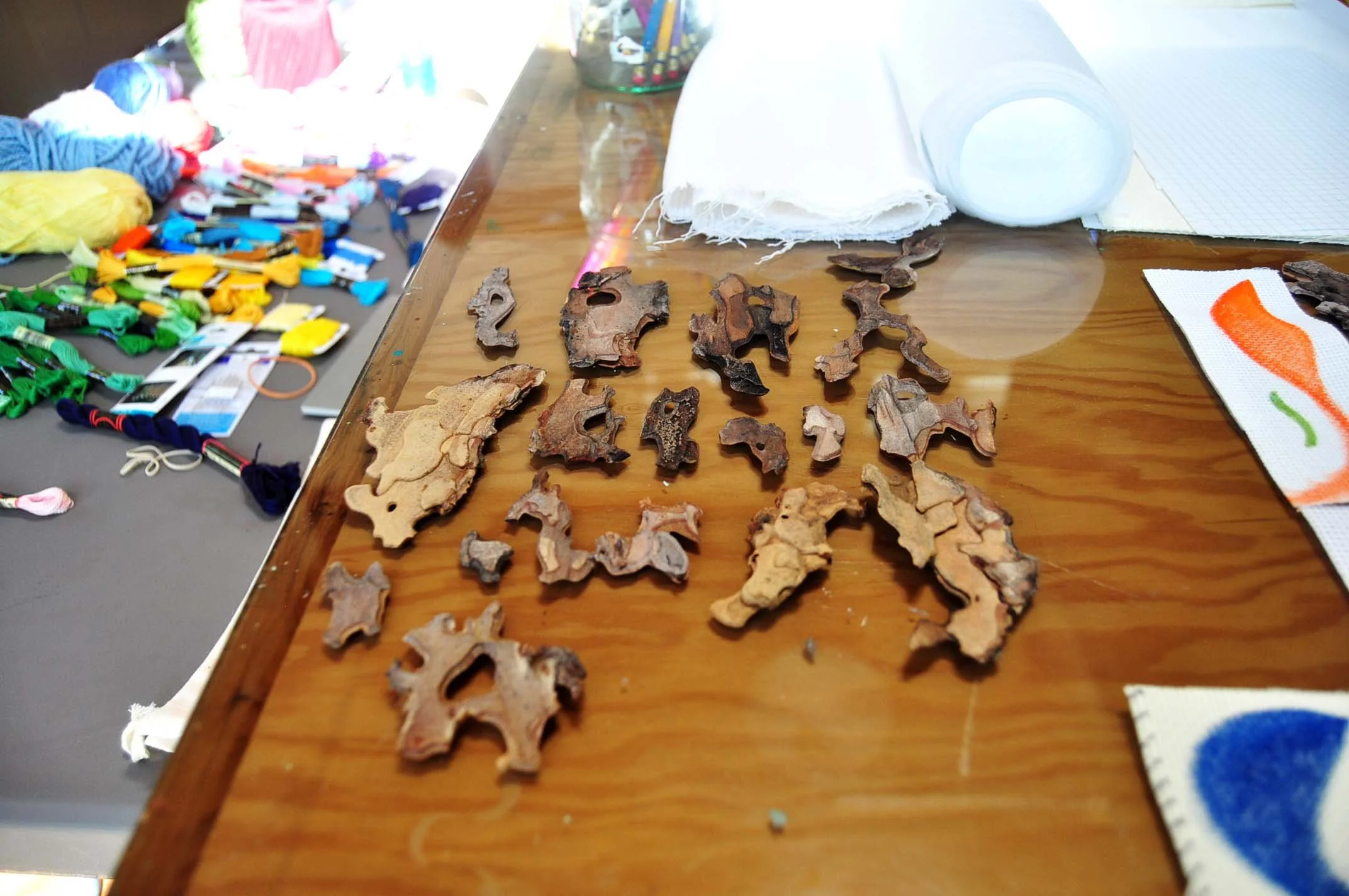 Bark collection (Ponderosa Pine sheddings)