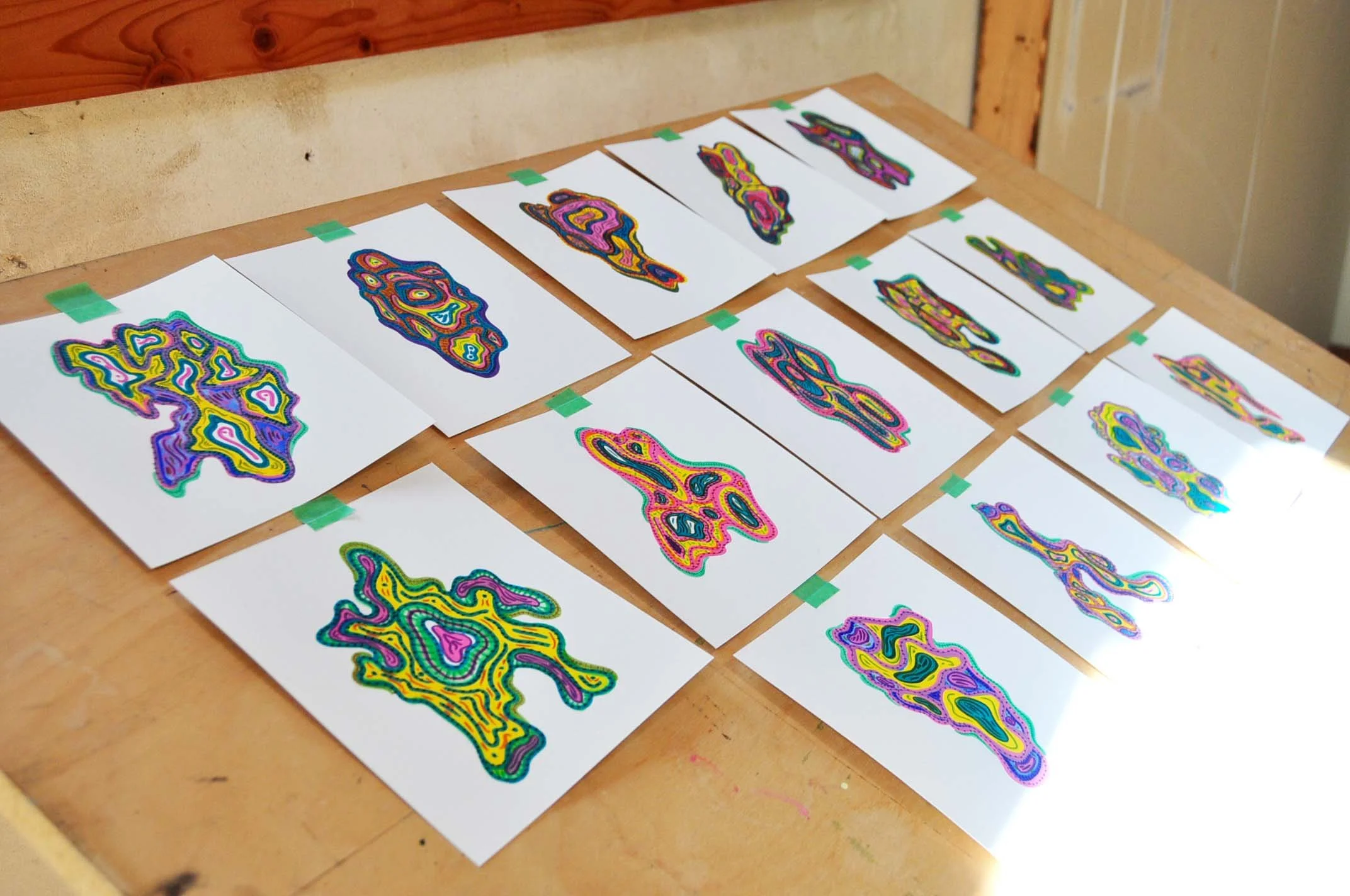 Bark drawings (mixed media)