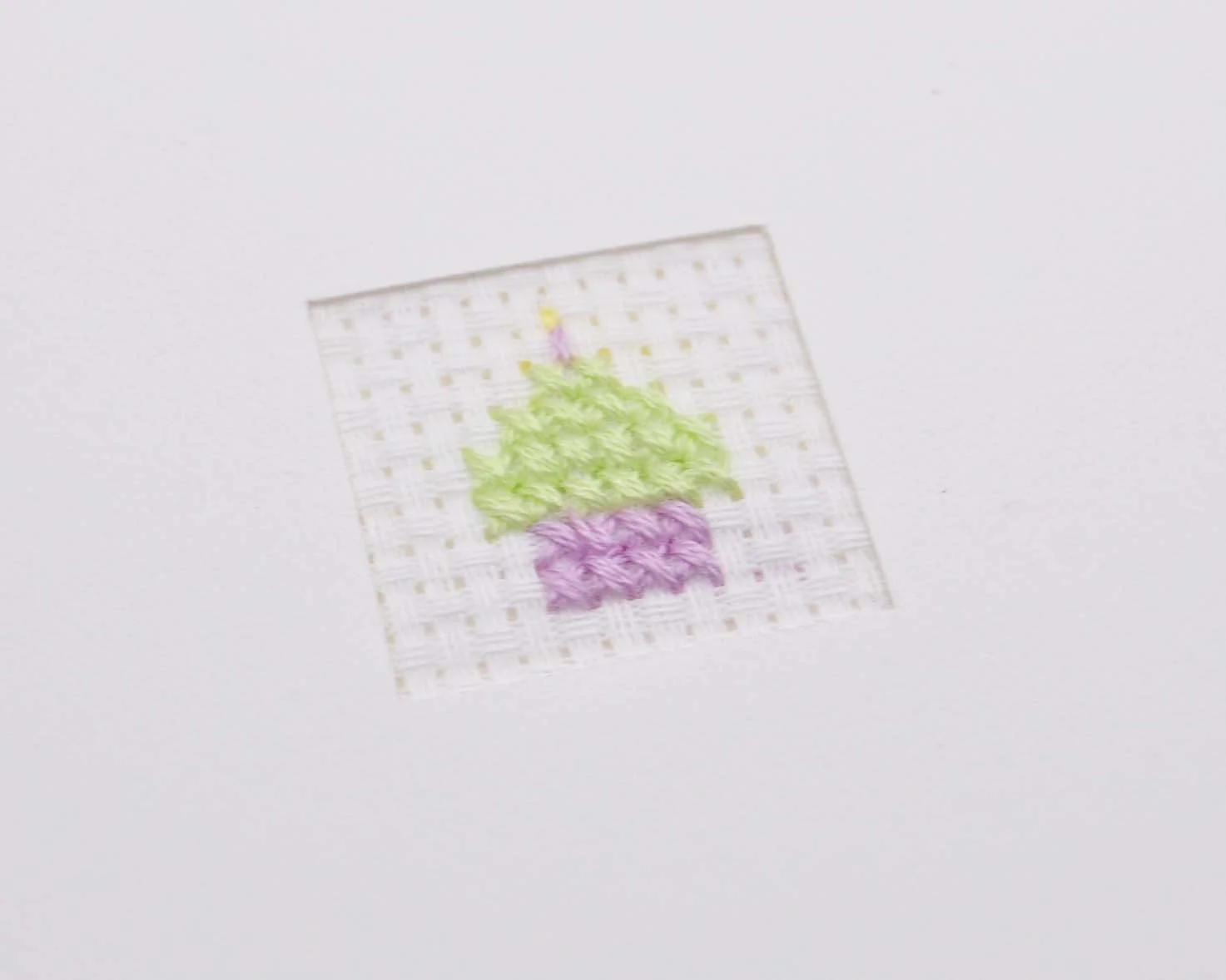 DSC_4471 copy-edited.jpg