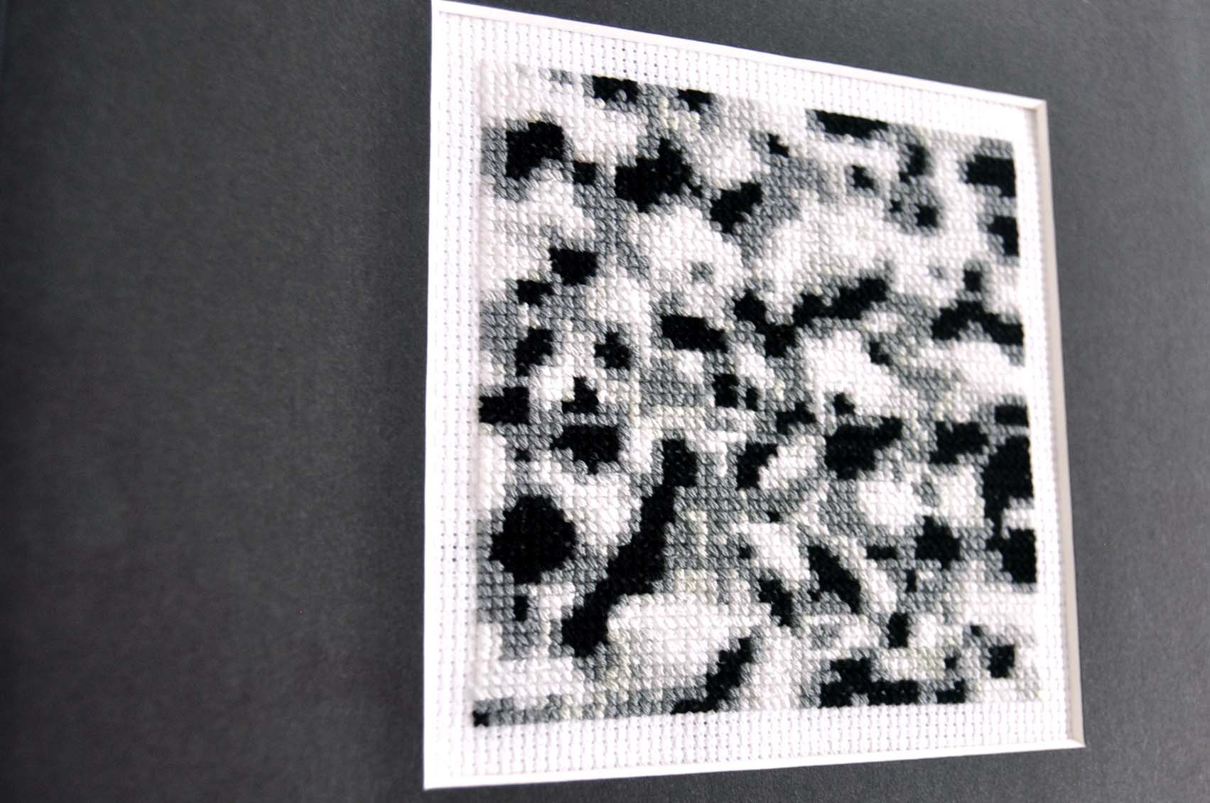 DSC_3680 copy-edited.jpg