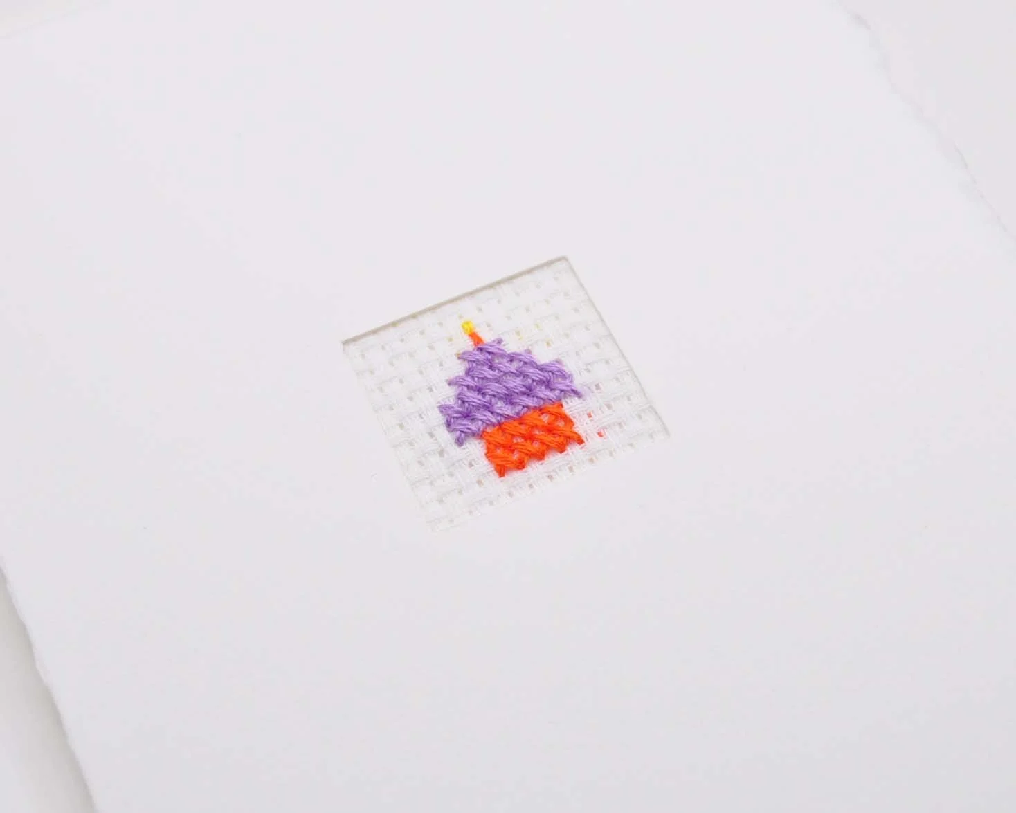 DSC_4481 copy-edited.jpg