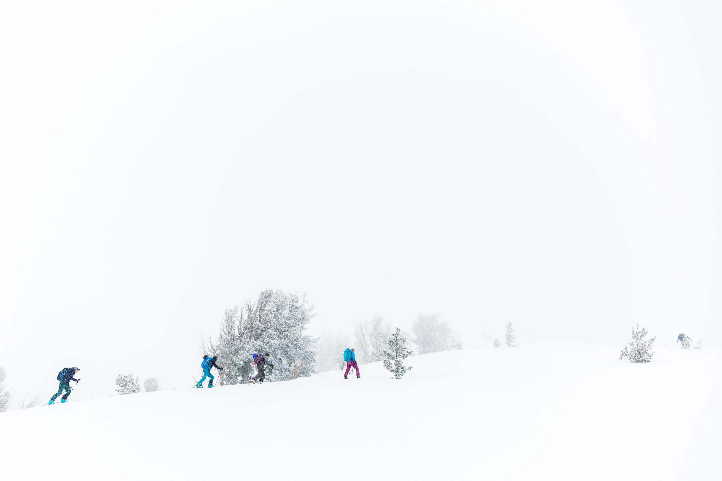 WillMcKay_Day2_IntermediateBackcountrySkiing-2418.jpg