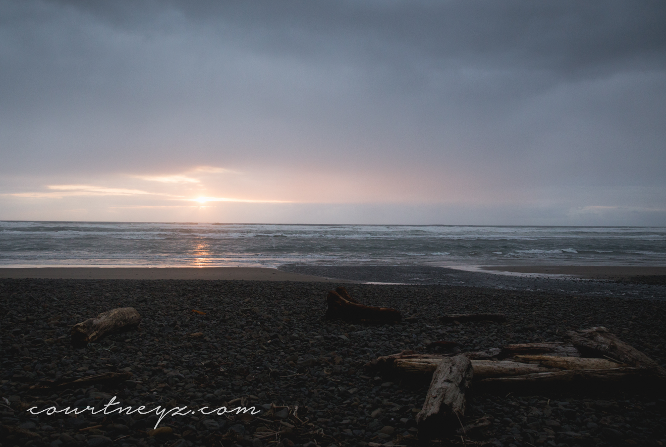 16.03.23_Oregon Coast_web-17.jpg