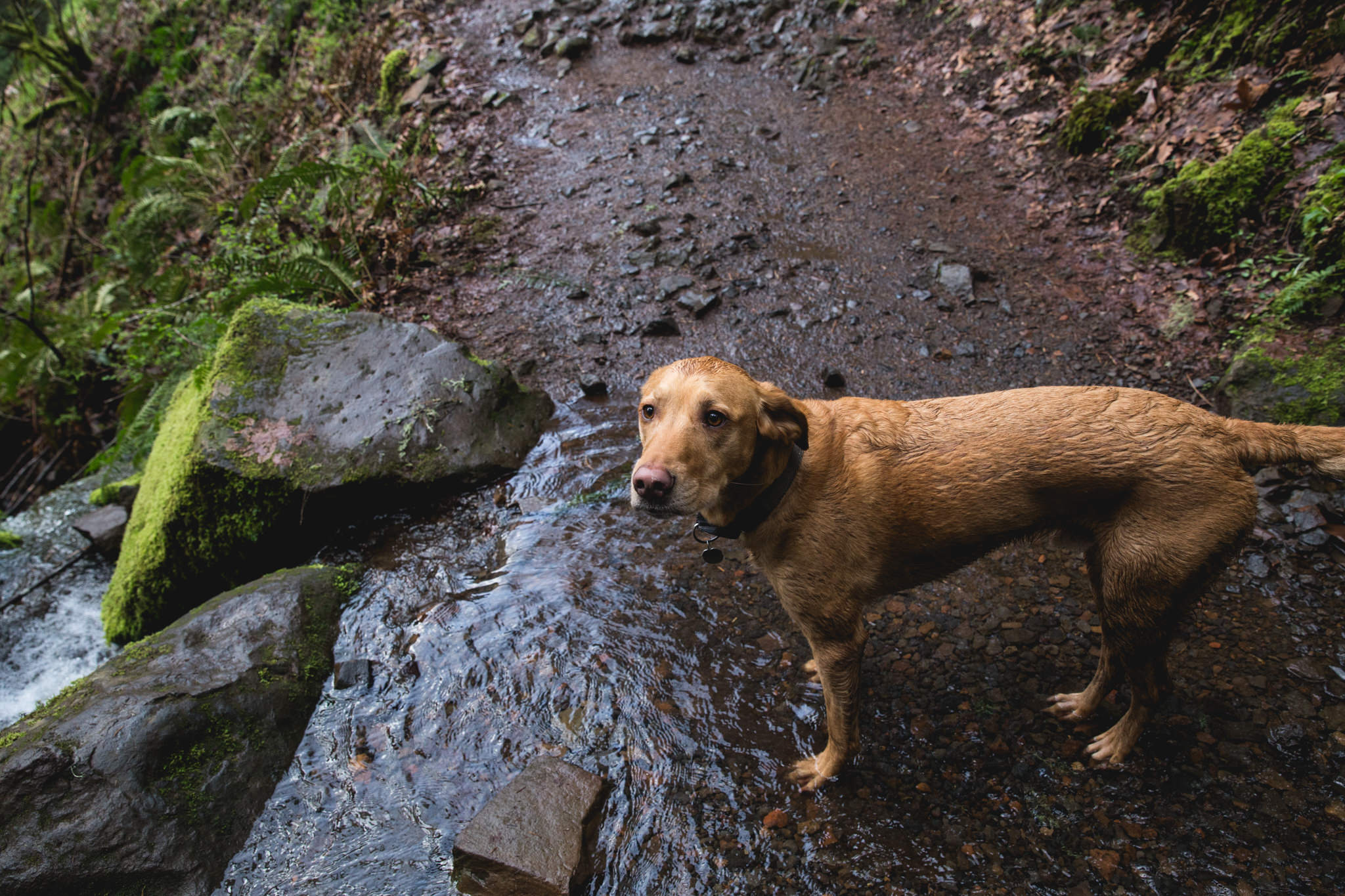 16.03.10_Pops gorge_small-7.jpg