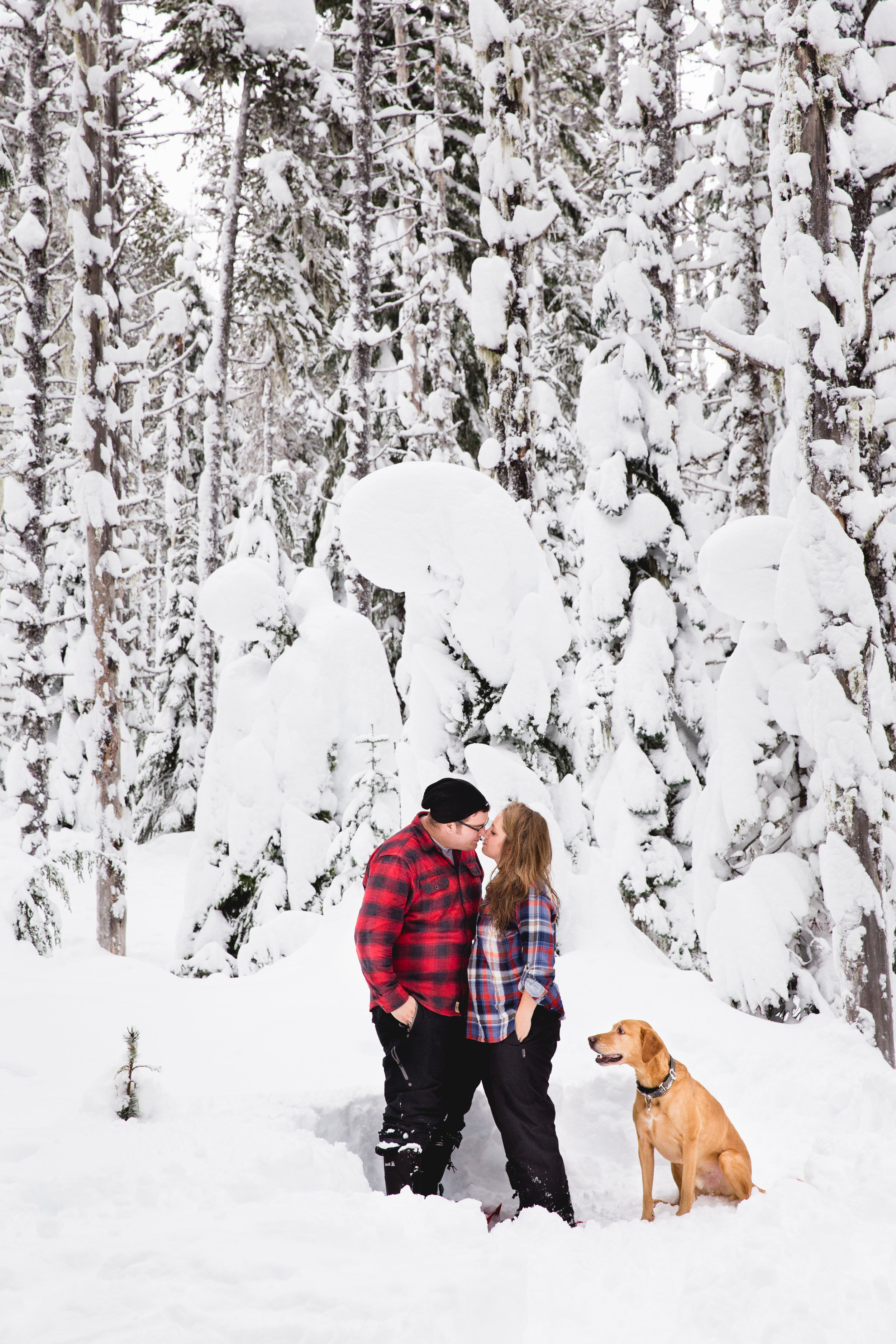 16.12.11_Family photos_8x12-3.jpg