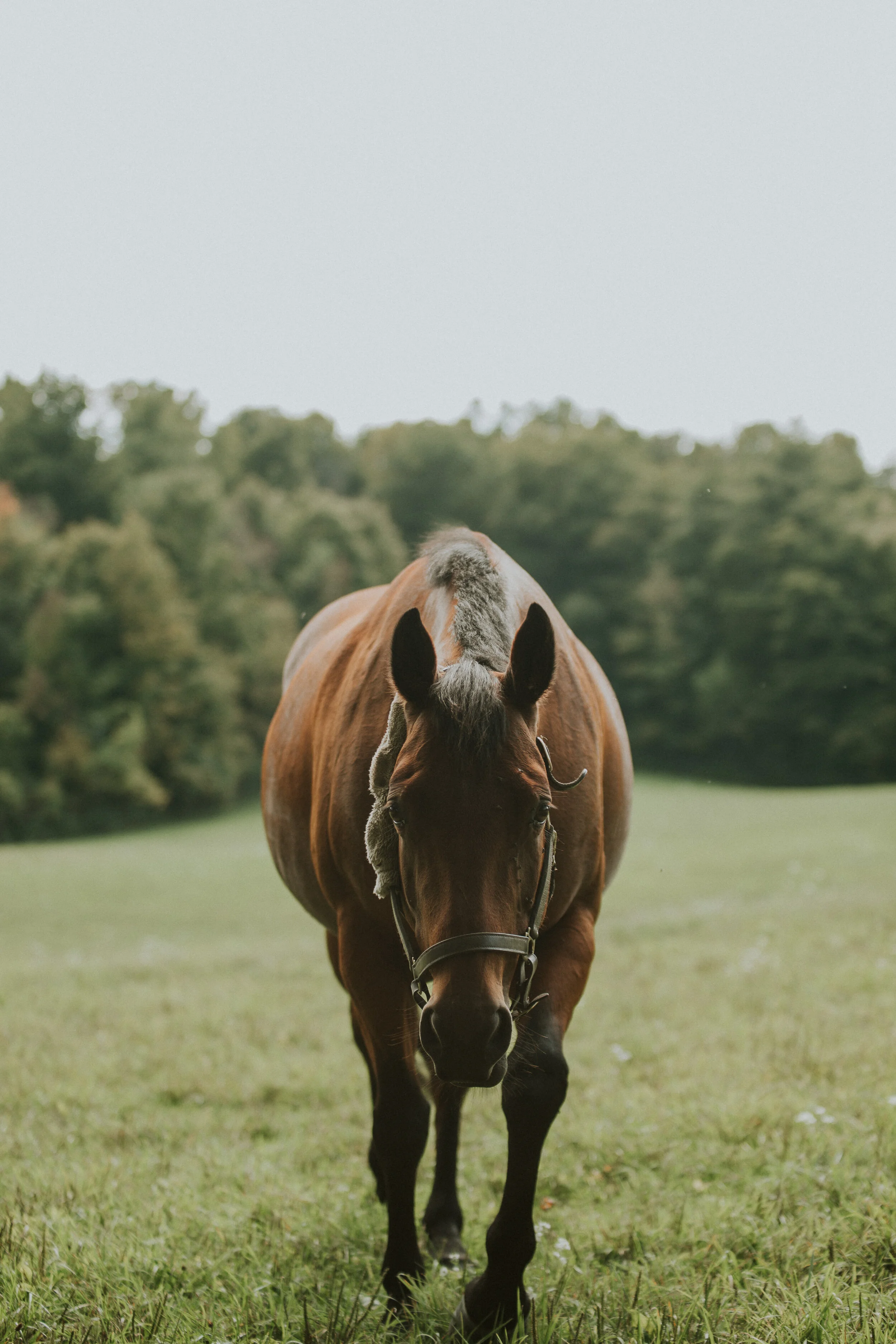 cataracthikesept2019-10.jpg