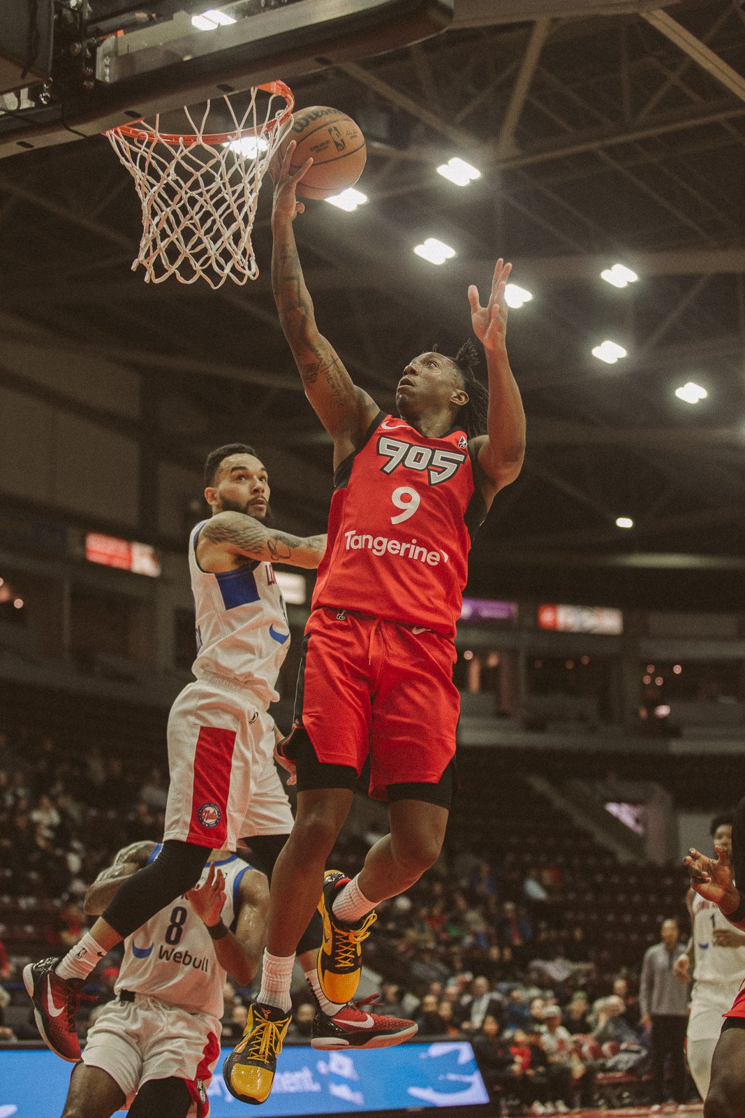 RAPS905_GAME3VSLONGISLANDNETSNOV21FINALS_AmandaLeeCoffeyCoffey-80.jpg