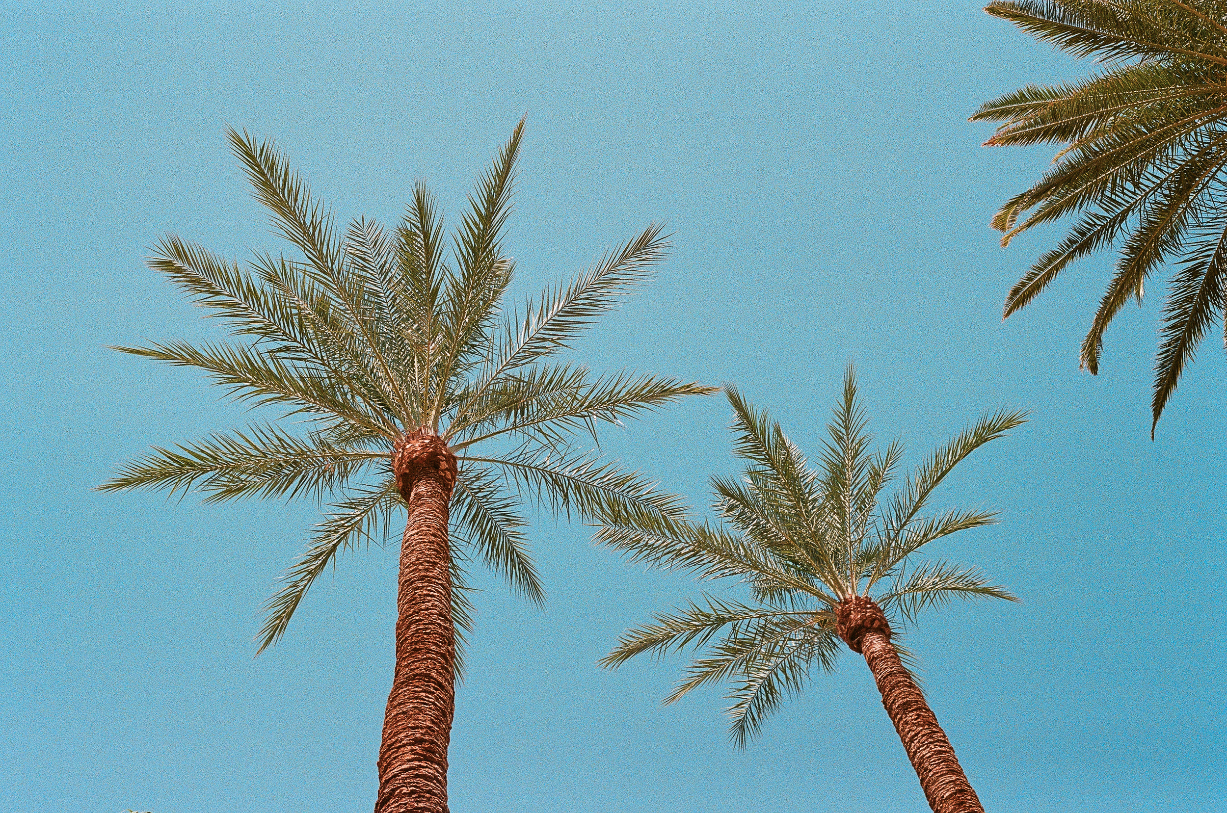 NBA2K25ONFILM_JULY2024_VEGAS_@AMANDALEECOFFEY (16 of 21).png