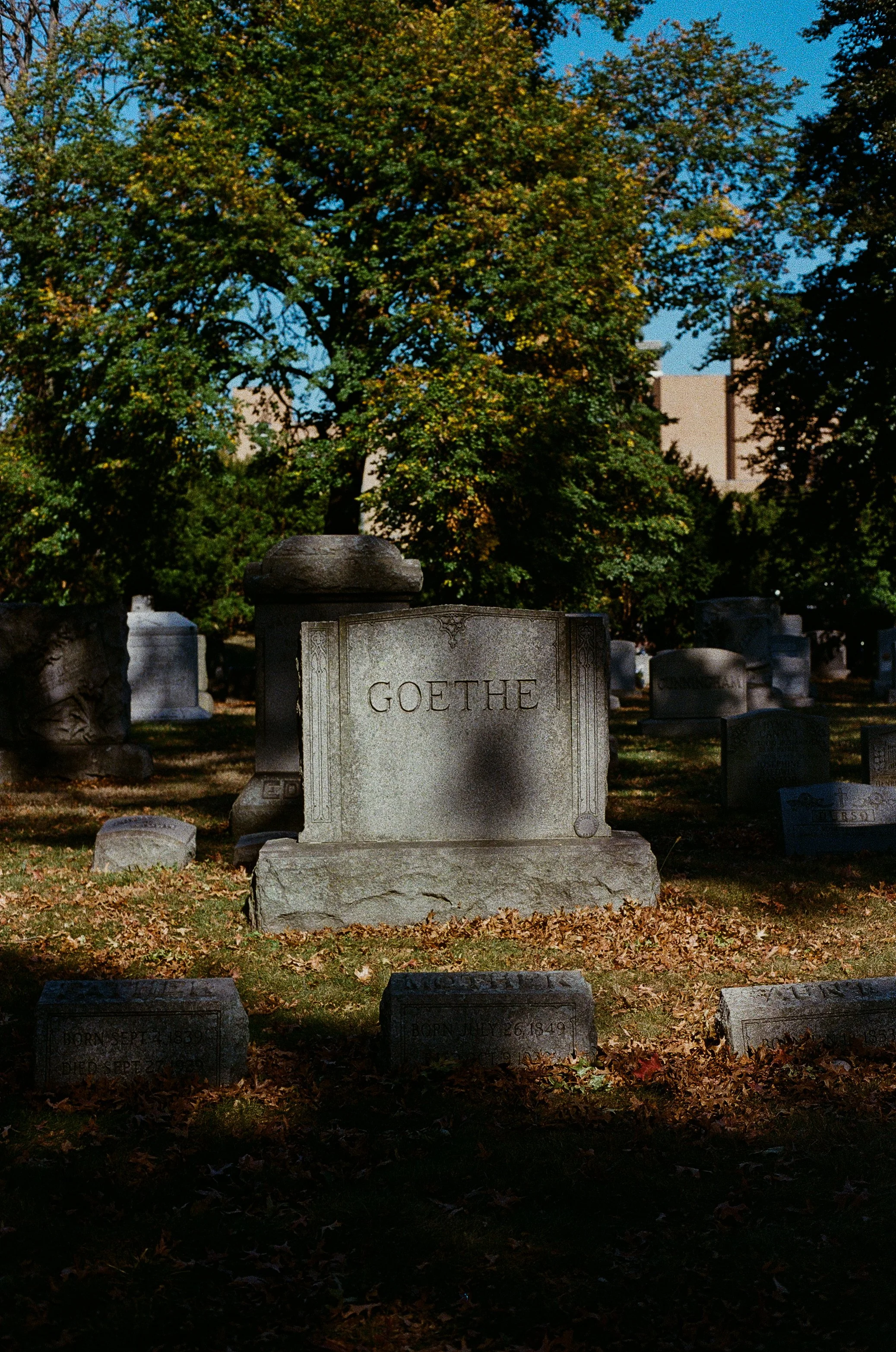 nyconfilm_@amandaleecoffey (6 of 18).jpg