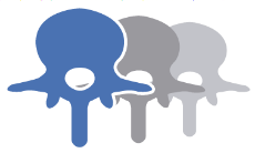 pen-vertebrae.png