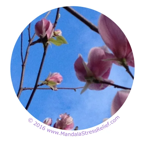 This last image is my favourite. It gives me a feeling of freedom and reminds me of being a child, lying on the grass and looking up ... feeling the expansiveness of a never-ending blue sky. I invite you to share your own comments, below. 