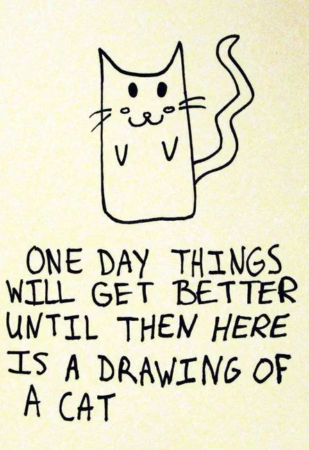 CAT MEME * Meme - An Internet Meme is an idea spread from web site to web site; derived from the Greek mimëma, meaning 'something imitated.'