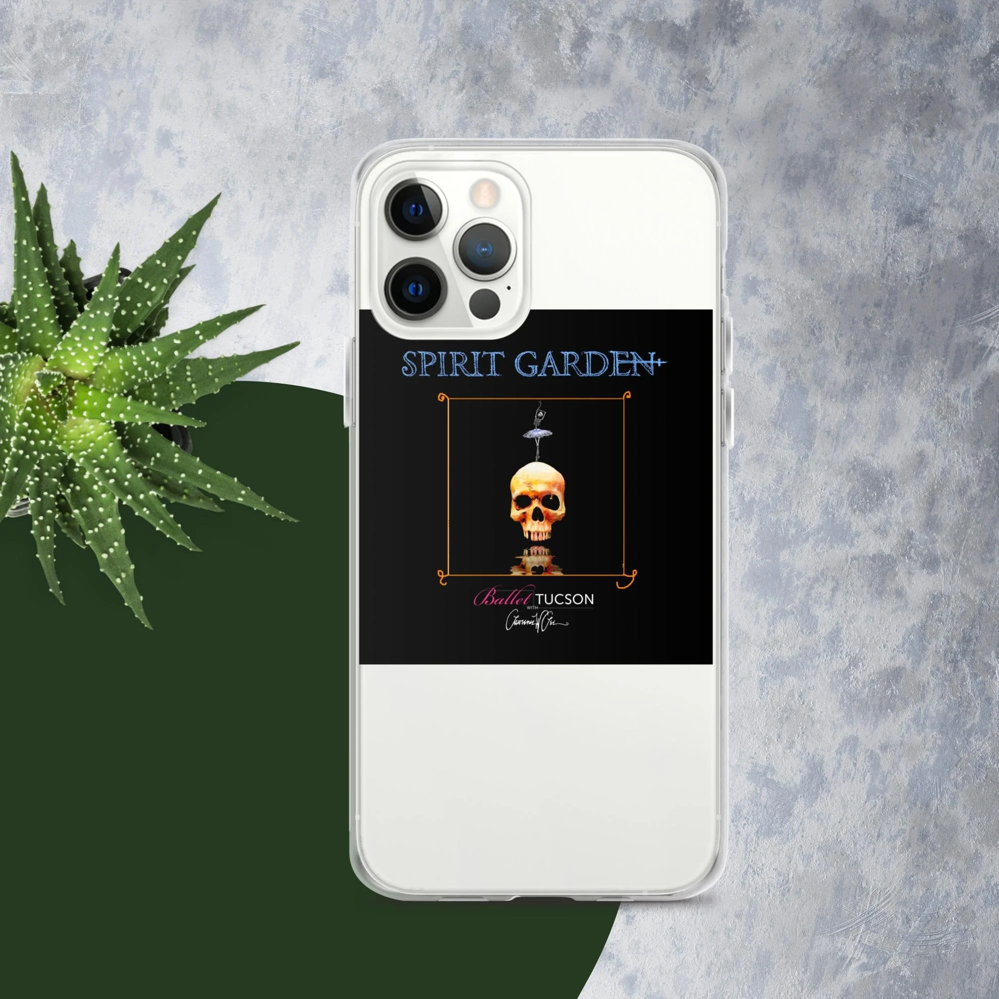 clear-case-for-iphone-iphone-12-pro-case-on-phone-66b915b24af26.jpg