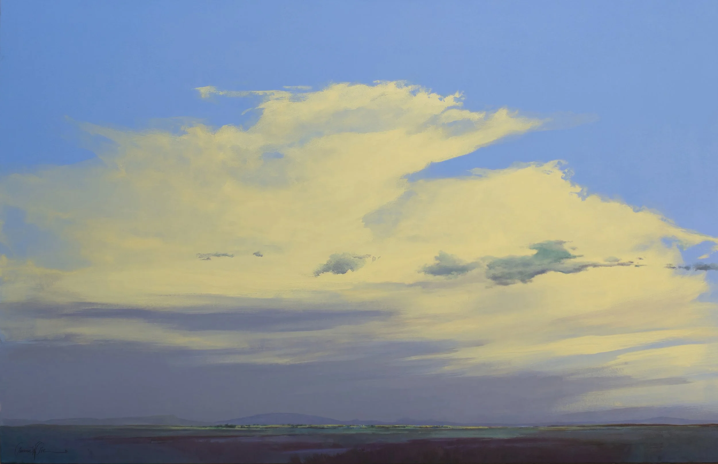 Sonora Summer Afternoon.jpg