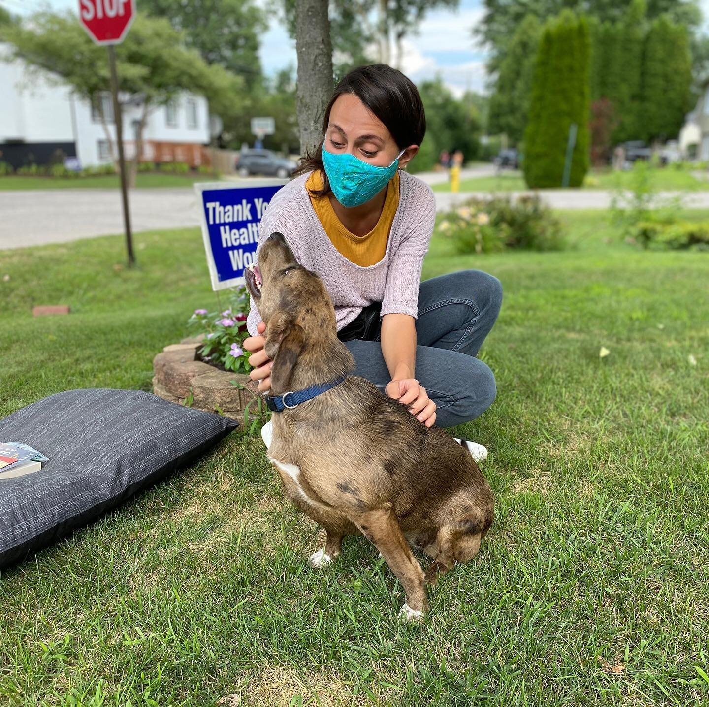 My mom can now replace the picture of me with a puppet she has hanging on her wedding picture wall. Sort of. 

Meet Canela! (Nela). Thanks to Project Hope Animal Rescue and the incredibly kind @amybjeaton who fostered her back to her spunky self afte