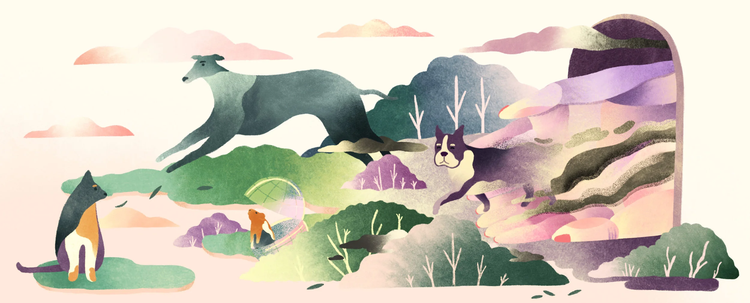 ( Narratively ) "How Starting a Pet Euthanasia Business Saved My Life"