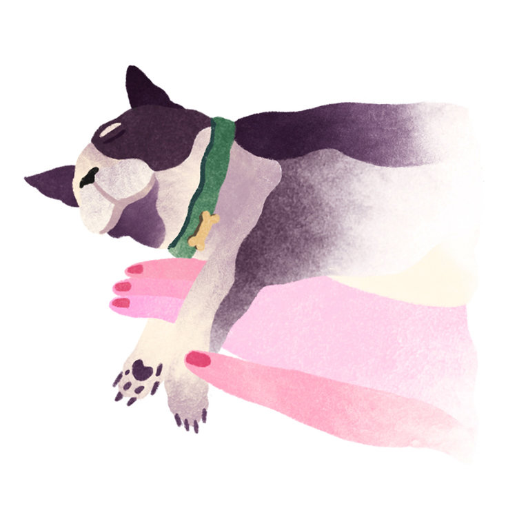 Jesse_Zhang_Illustration_Dog_Boston_Terrier_Animals_Web.jpg