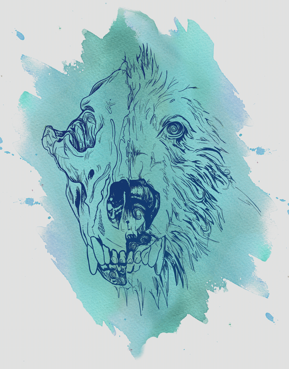 bear.png