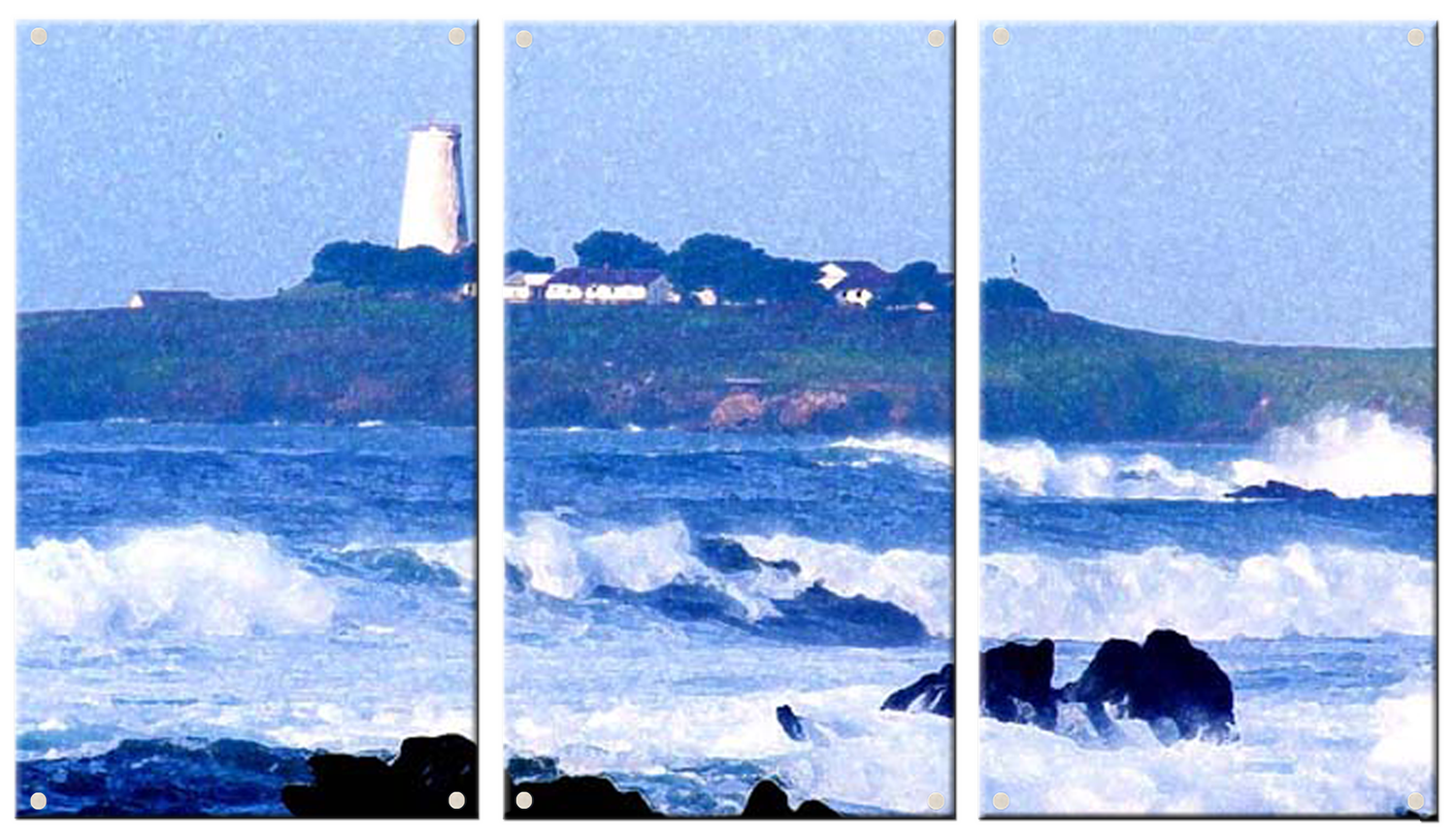 Acrylic Triptych Panel Art