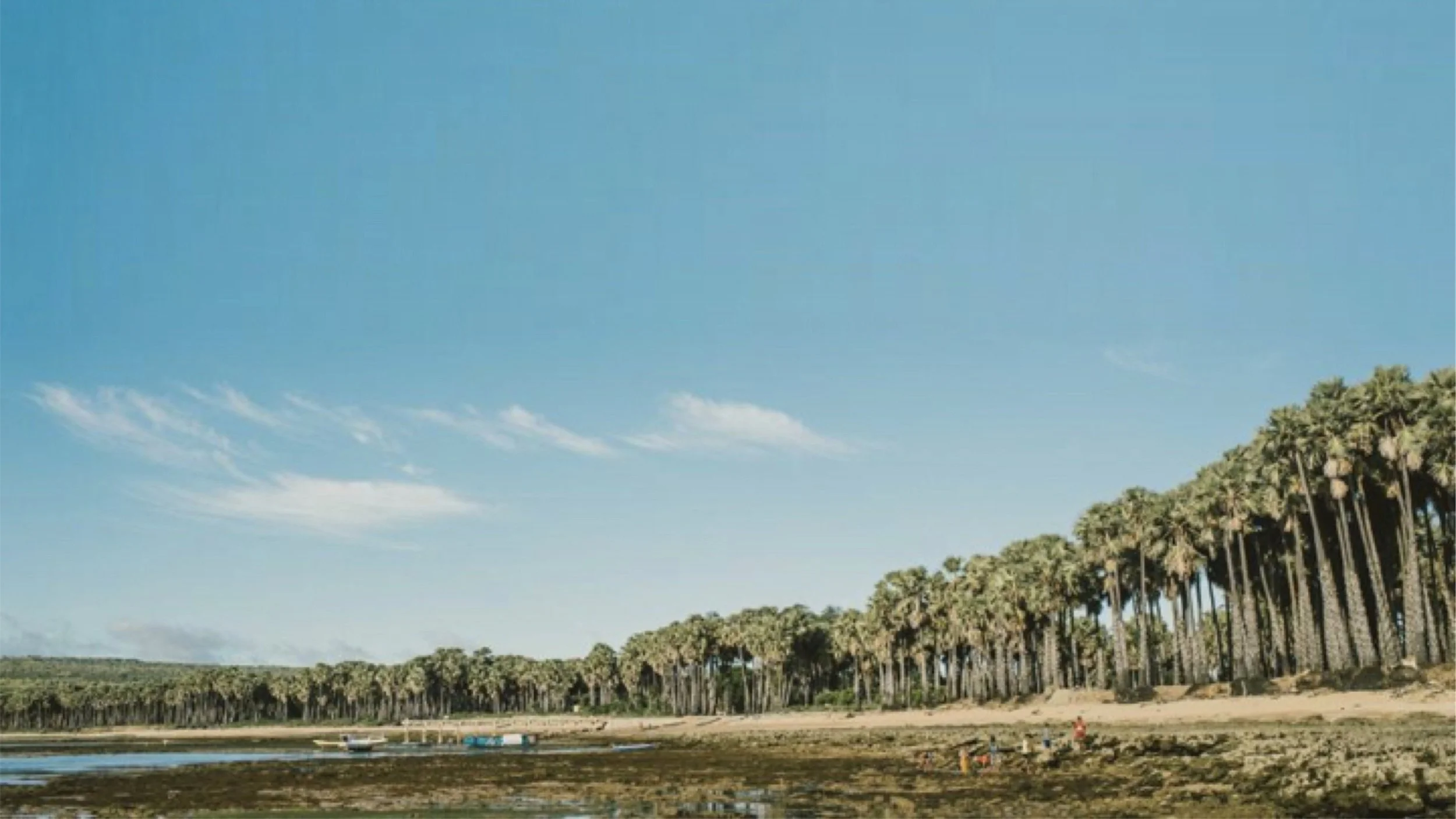 Compassion Sunday - City