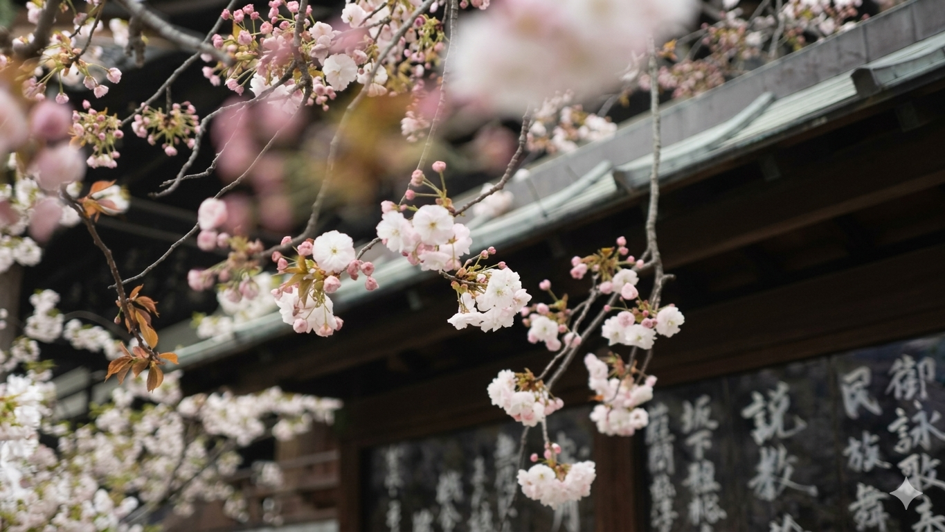 Mission Beyond: Japan