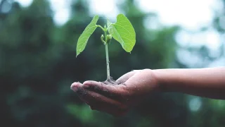 A Growing Church in a Post-Christian Culture