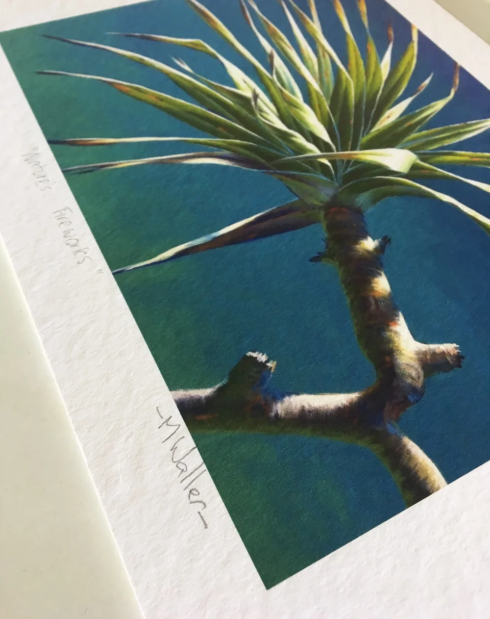 Nature's Fireworks Edition 2/50