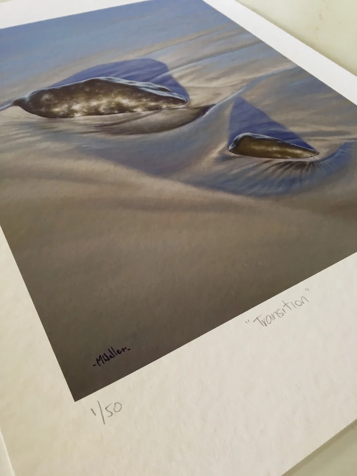 Transition - Limited Edition print by Mark Waller