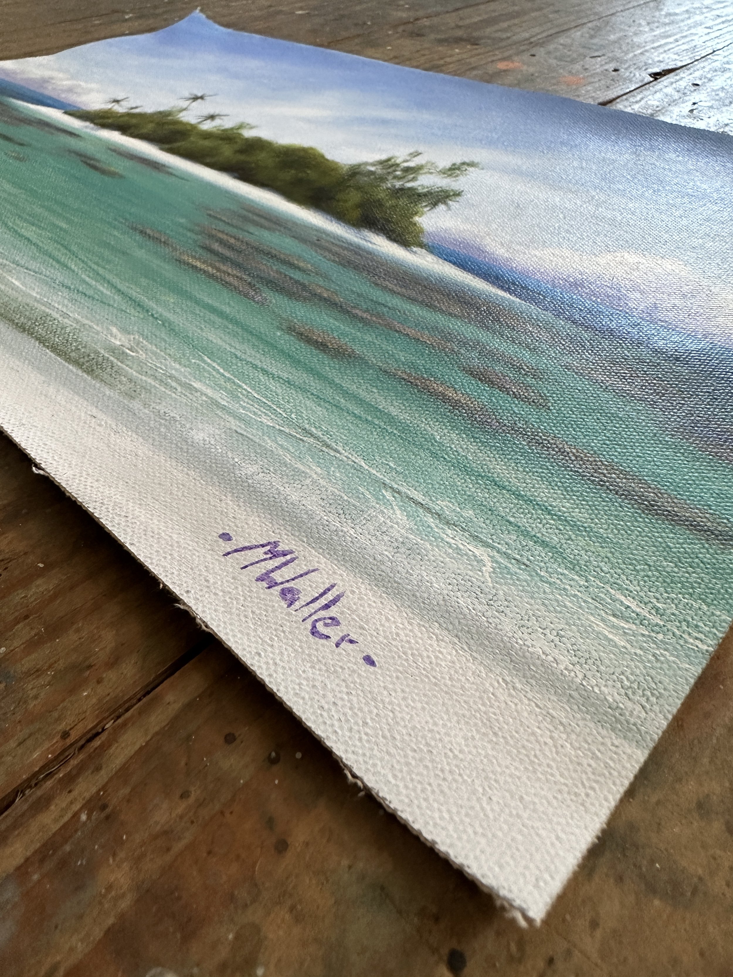 Solomon Islands Study II_.JPG