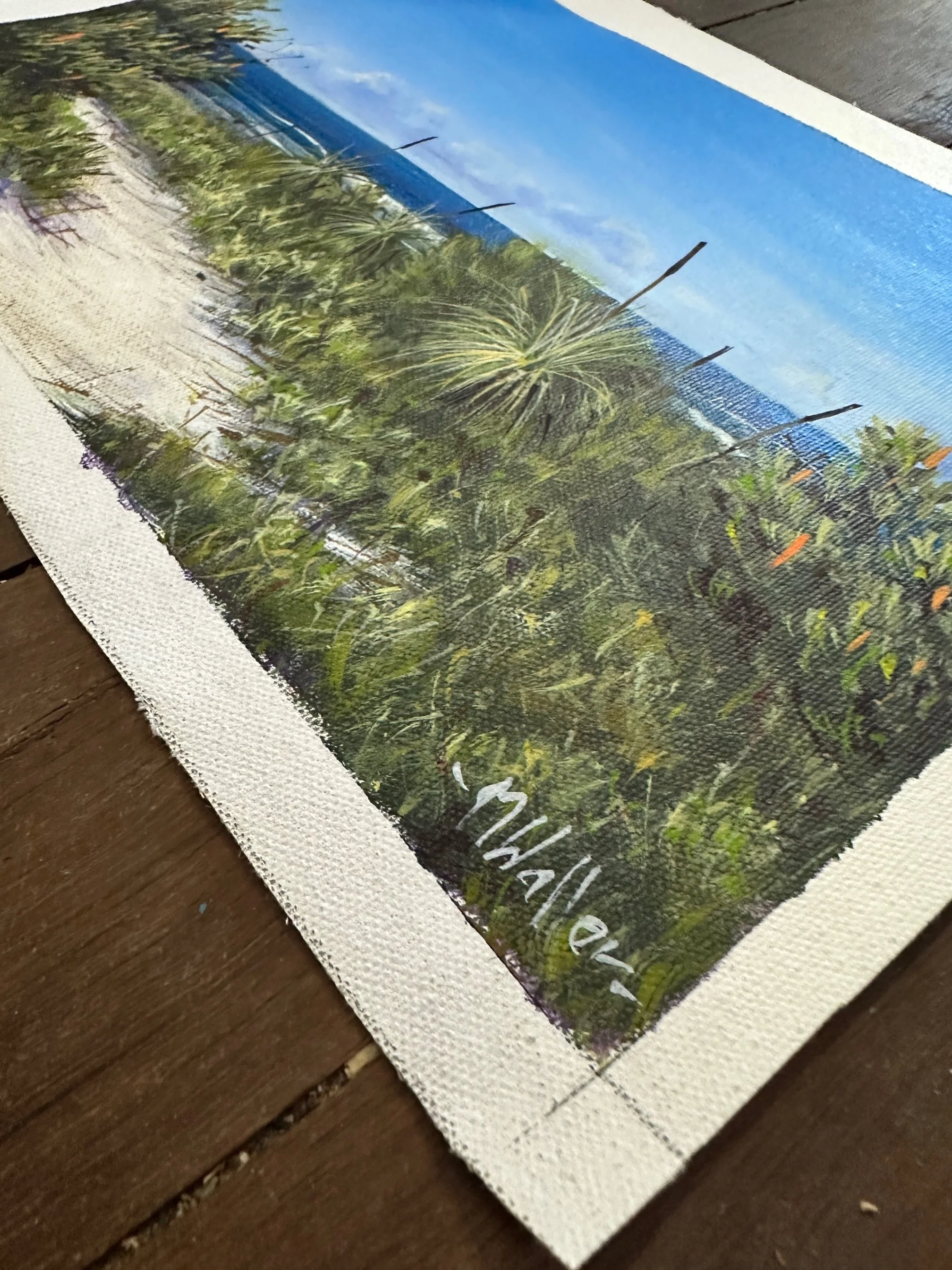 Secluded Beach Study III_.JPG