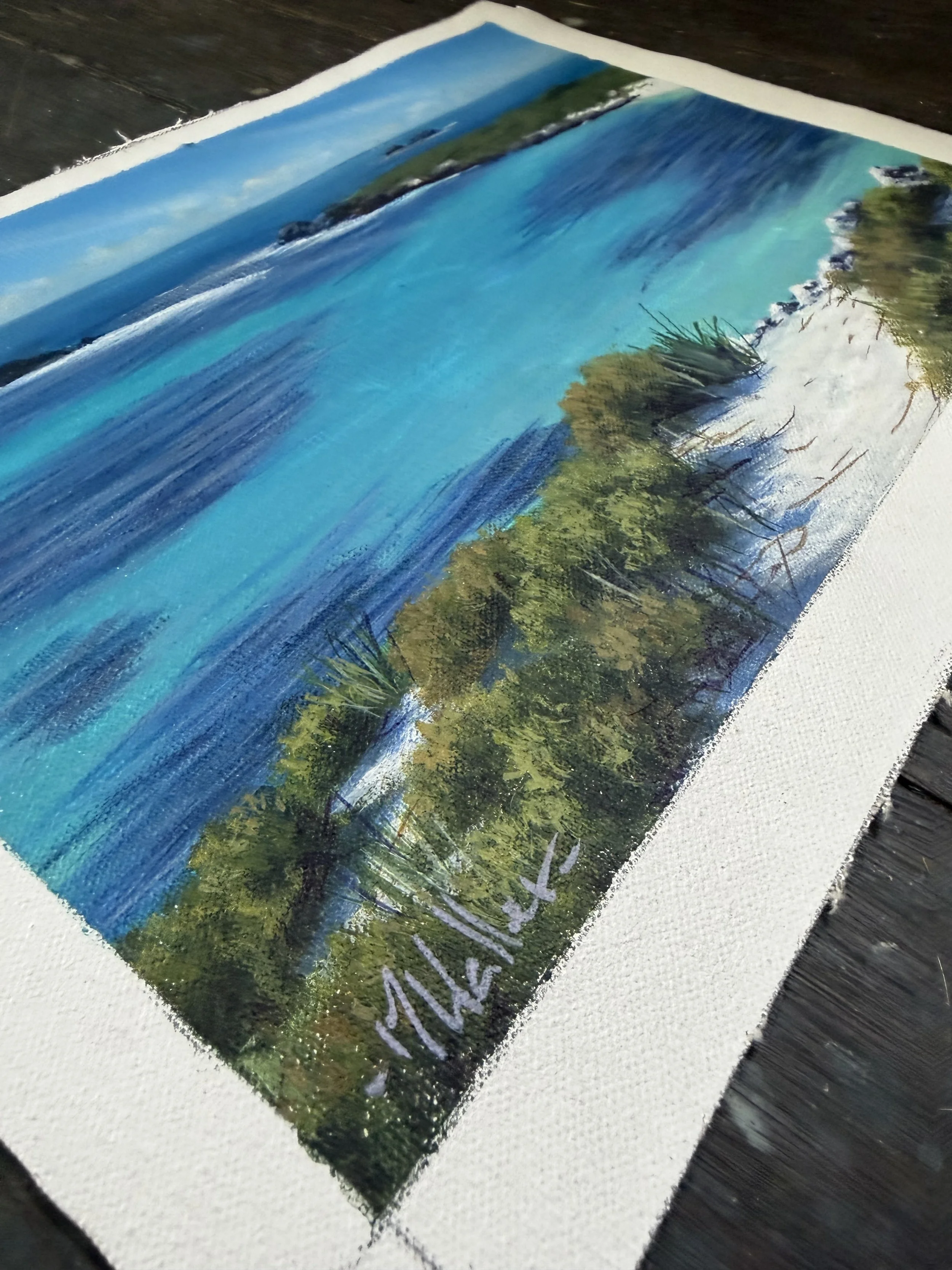 Rottnest_Island_Study_.jpg