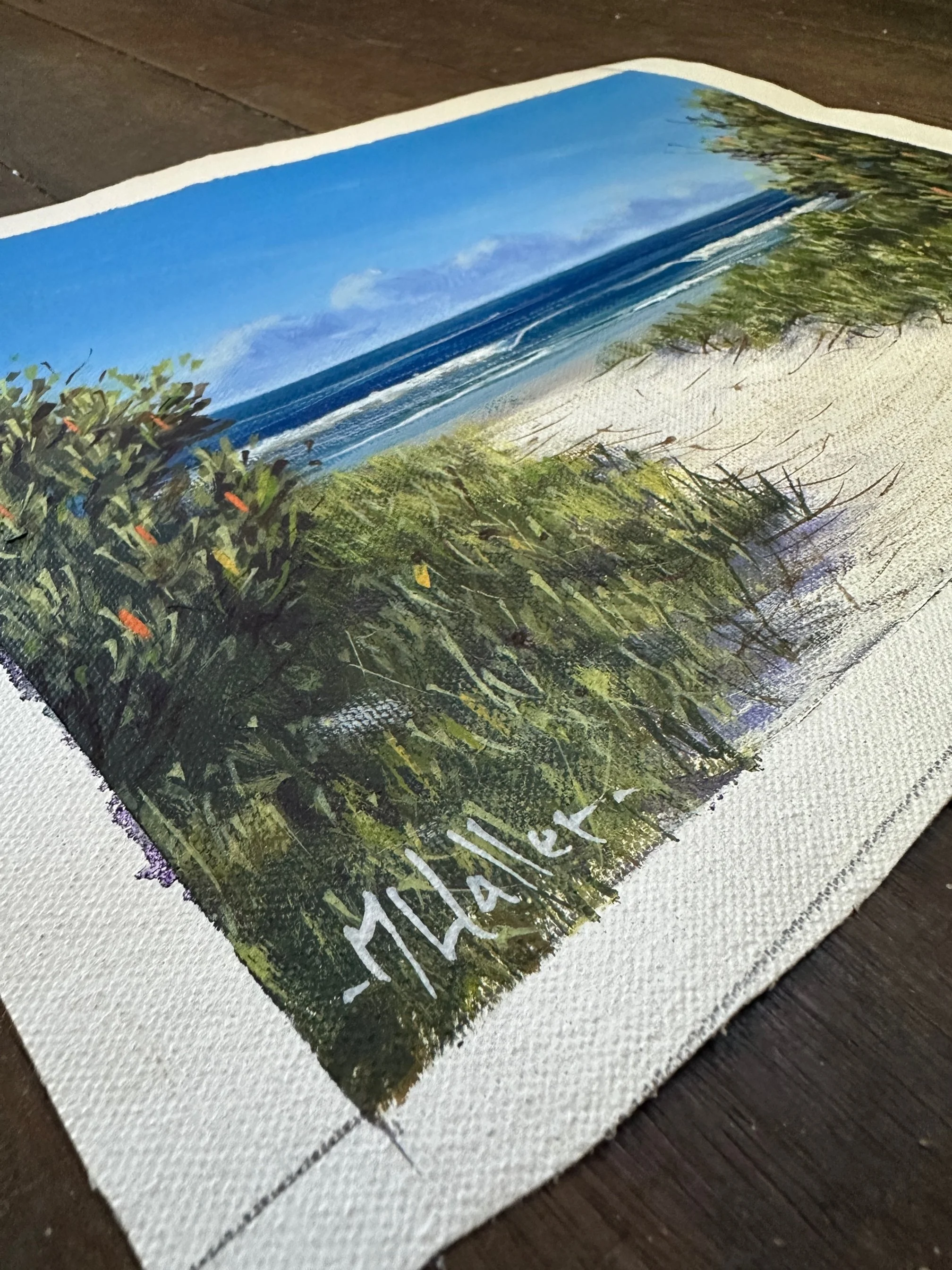 Secluded Beach Study II_.JPG