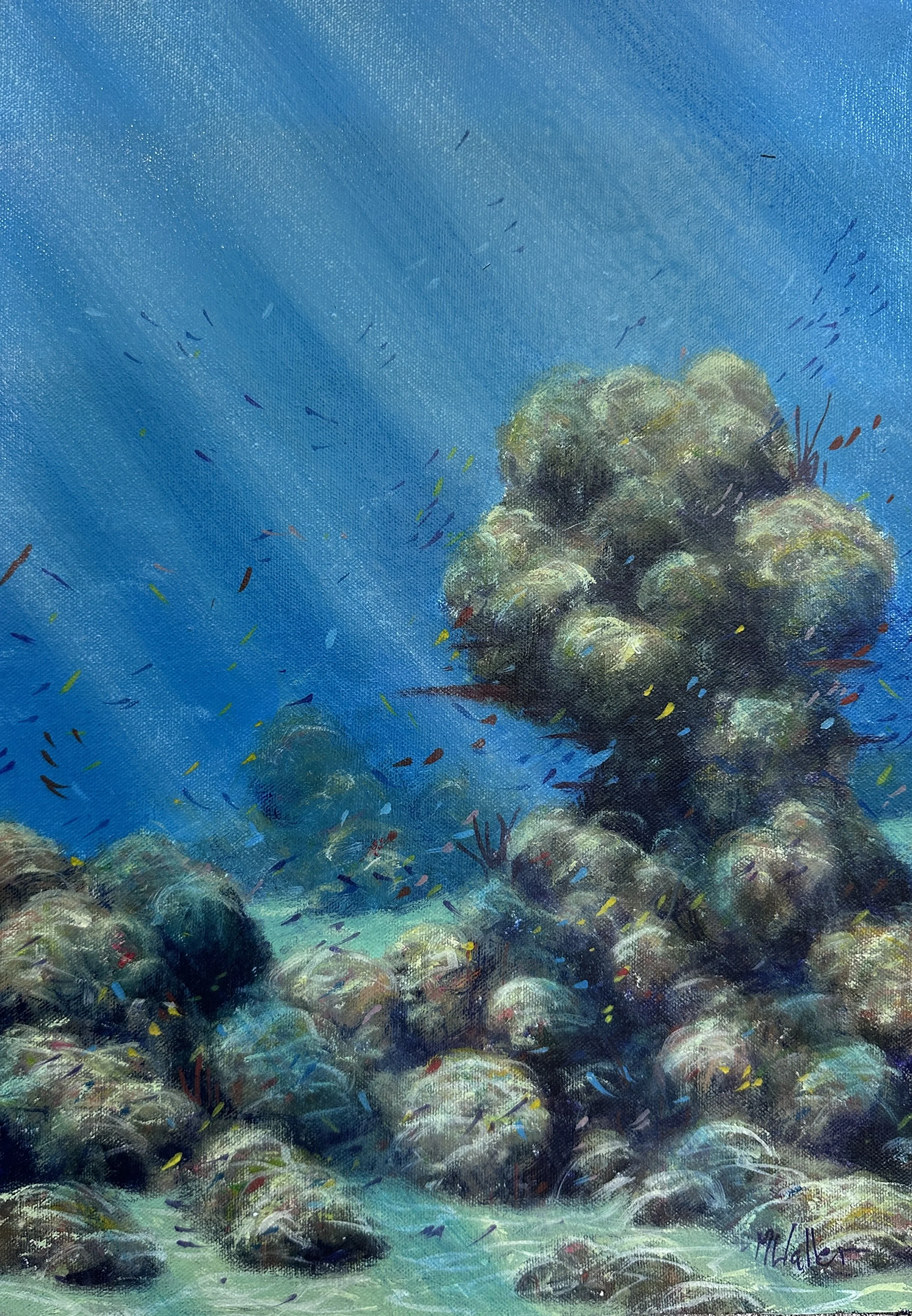 Coral Study II.JPG