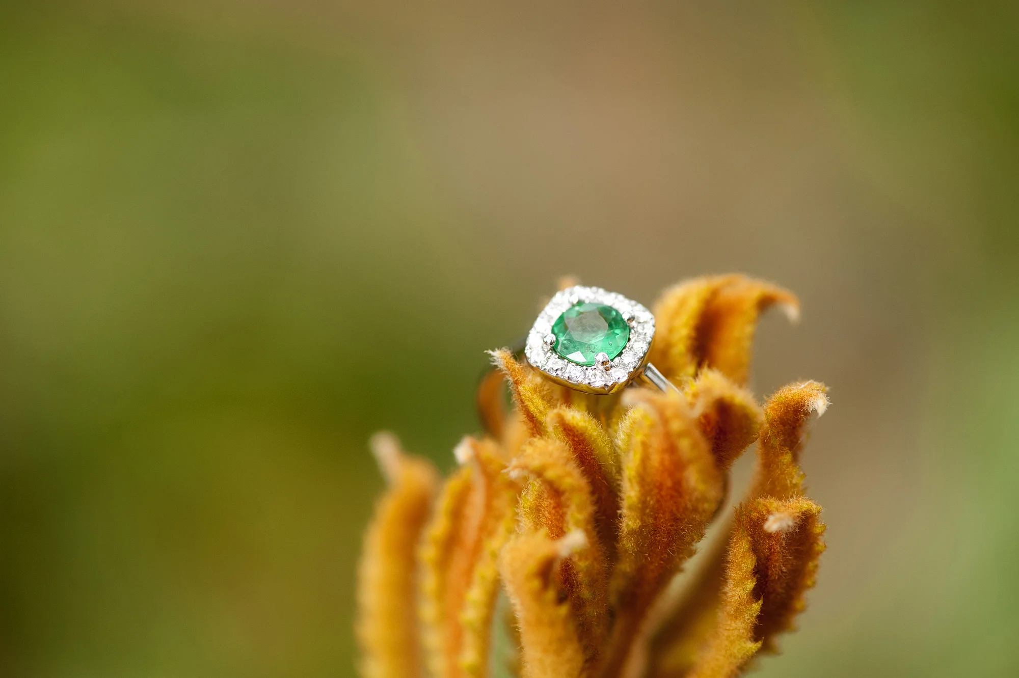 engagement photographer perth 15.jpg