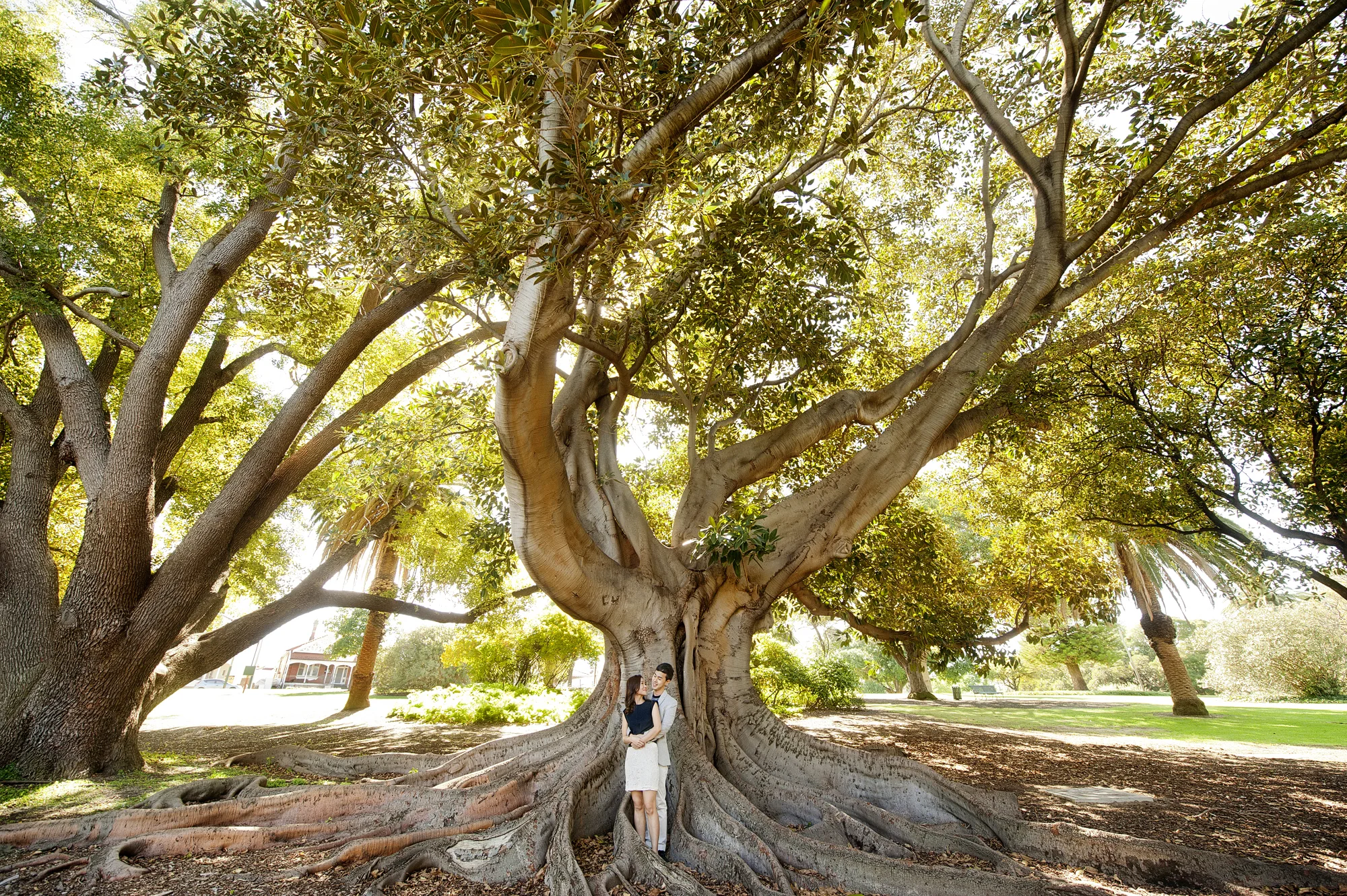 engagement photographer perth 16.jpg