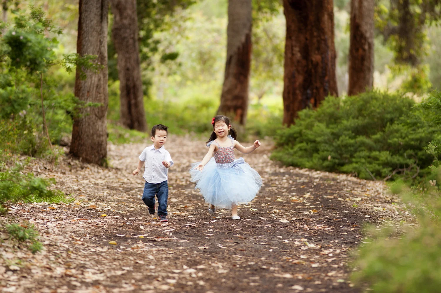 perth portrait photographer kings park