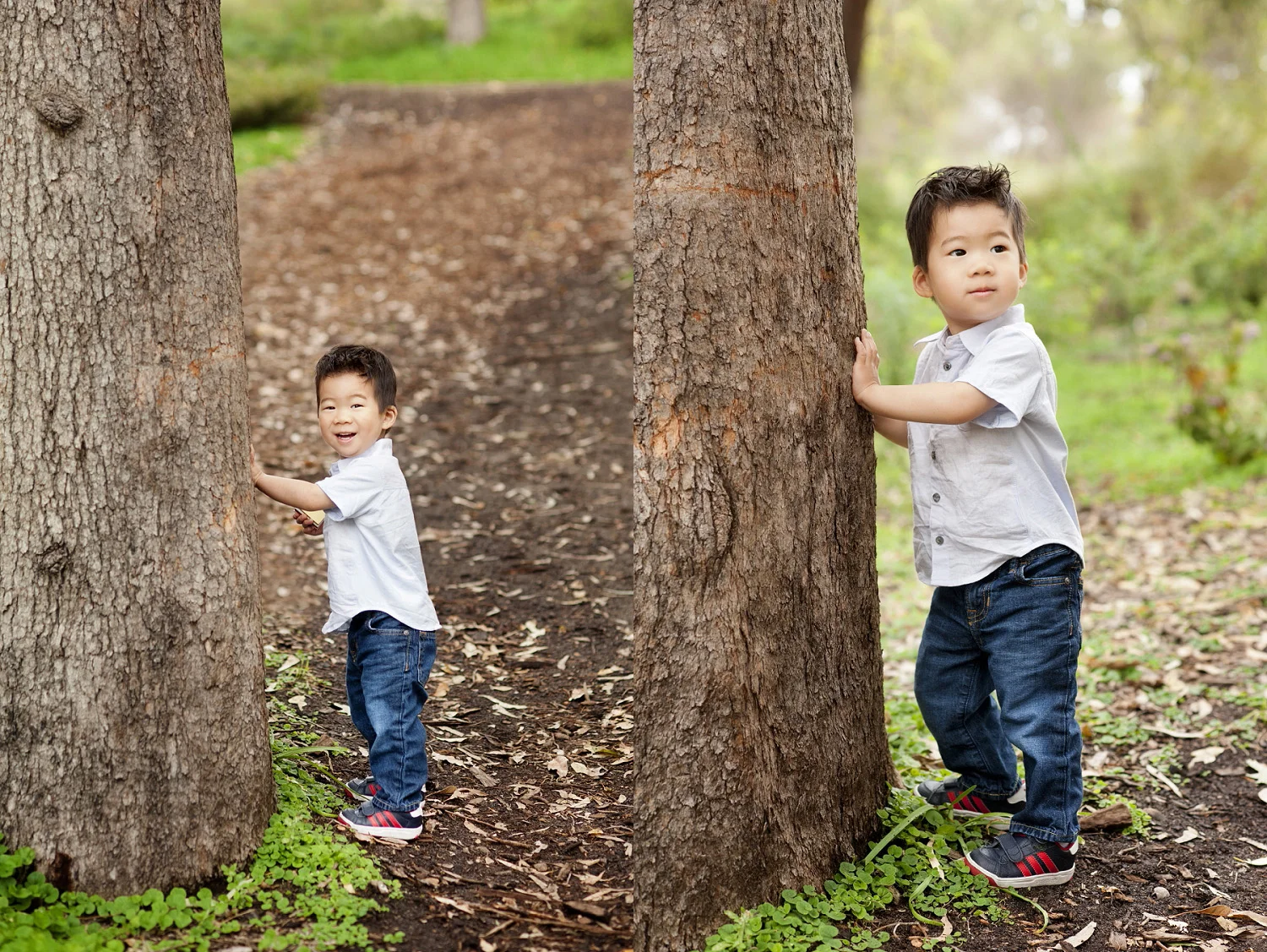 kings park perth portrait photographer 08.jpg