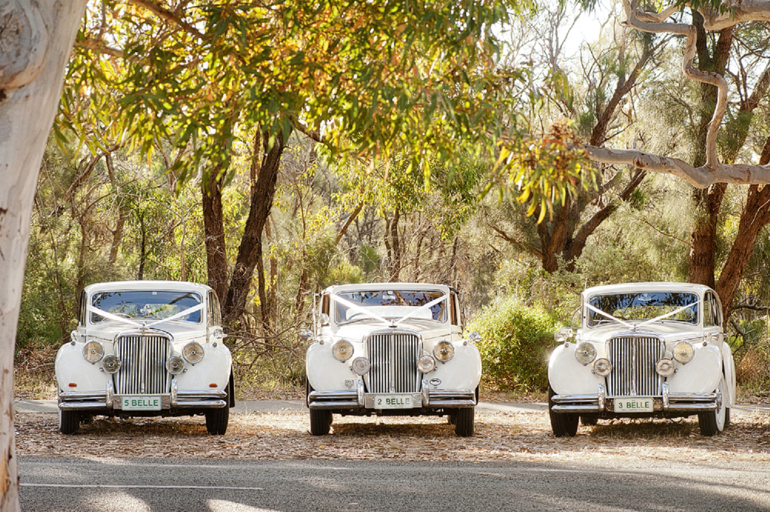 belle classics perth wedding cars