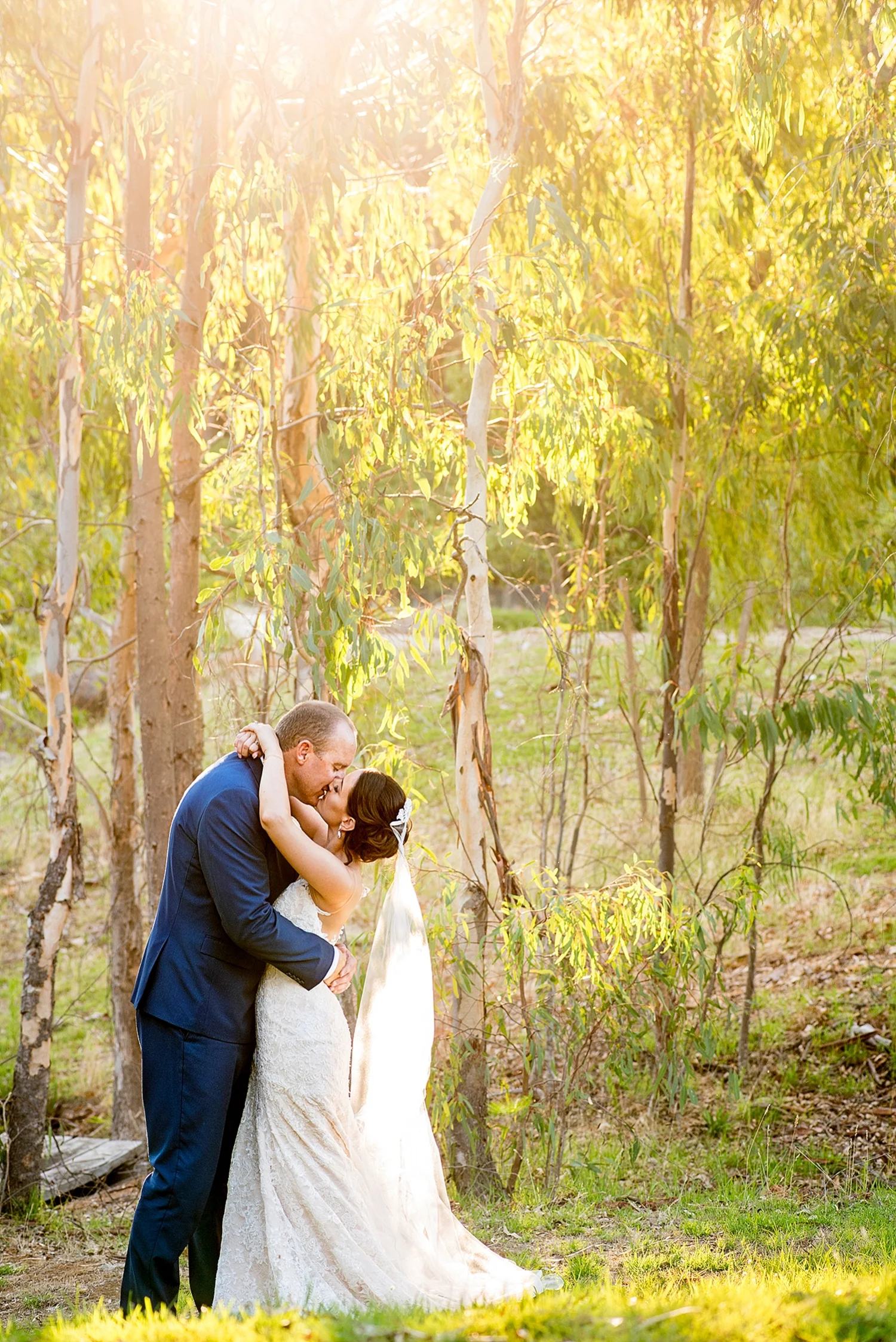59_wedding couple photos in gum trees perth .jpg