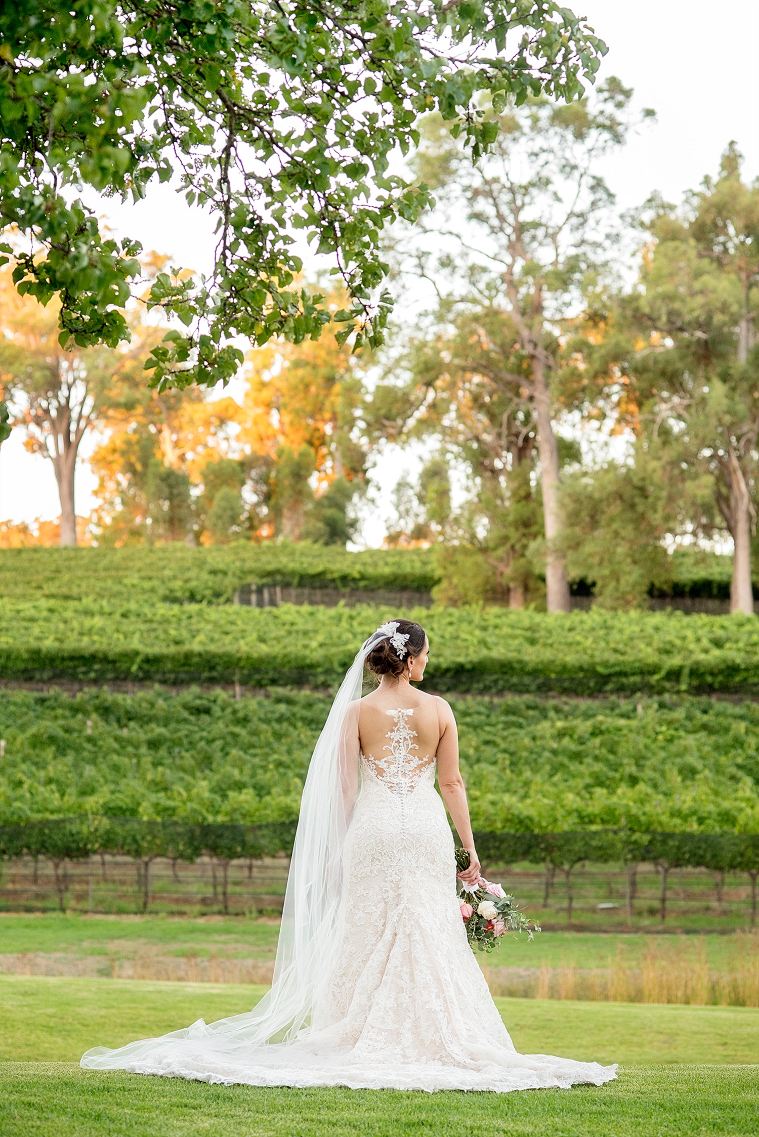 64_millbrook winery wedding perth bride in vineyard .jpg
