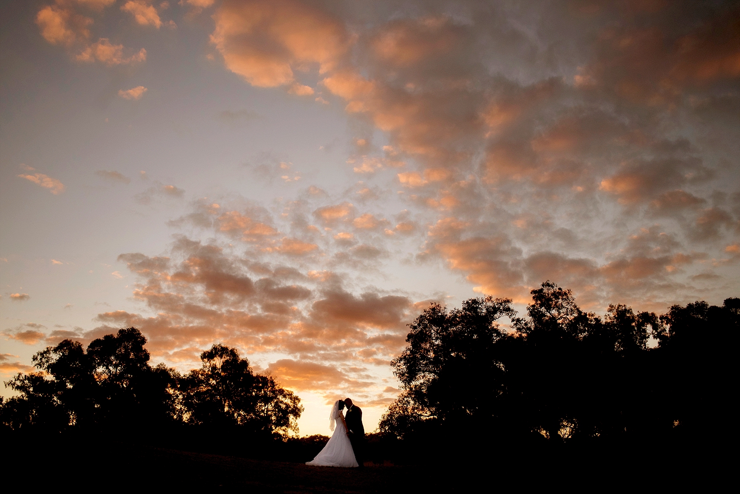 62_perth wedding photographer deray simcoe .jpg