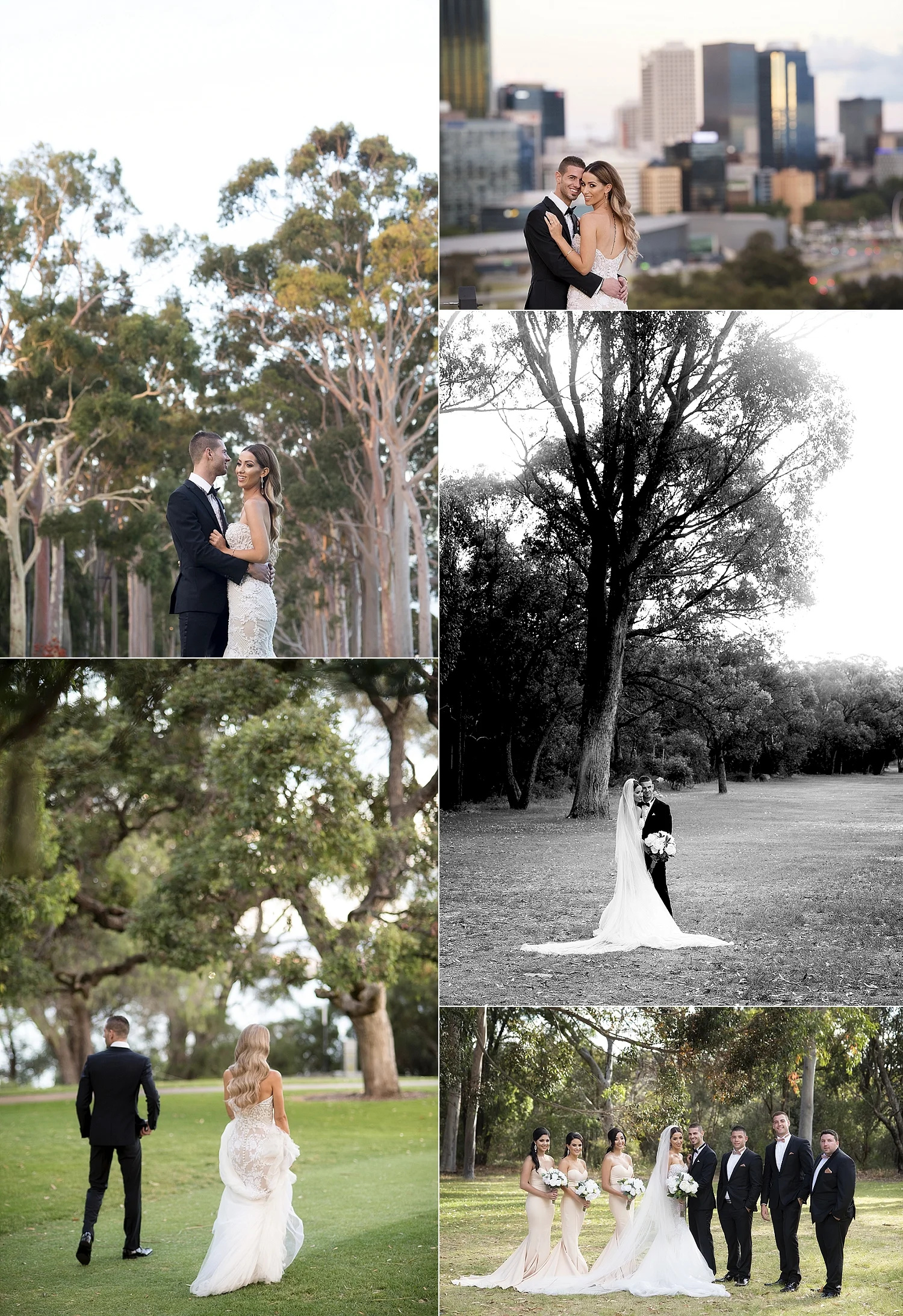 King's Park wedding photos Perth.jpg