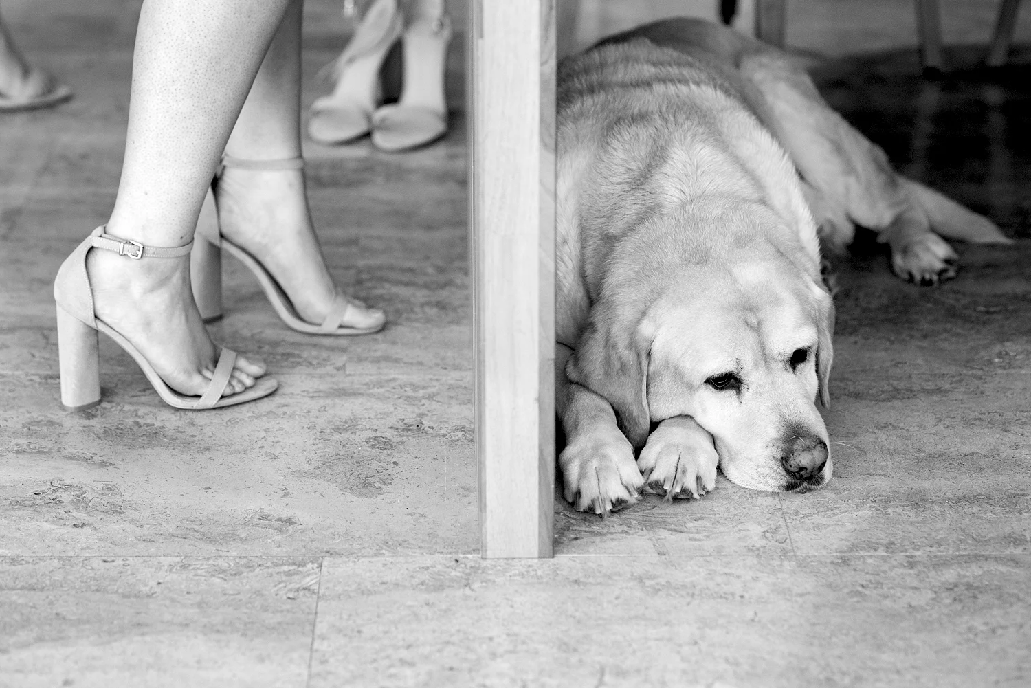 09_kings park wedding perth.jpg