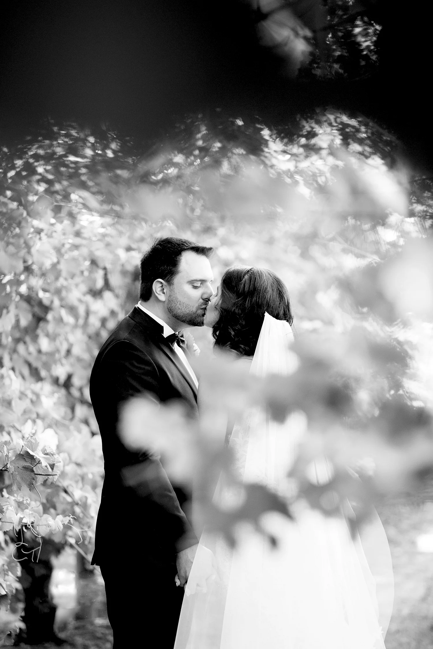 46_sandalford winery wedding perth.jpg