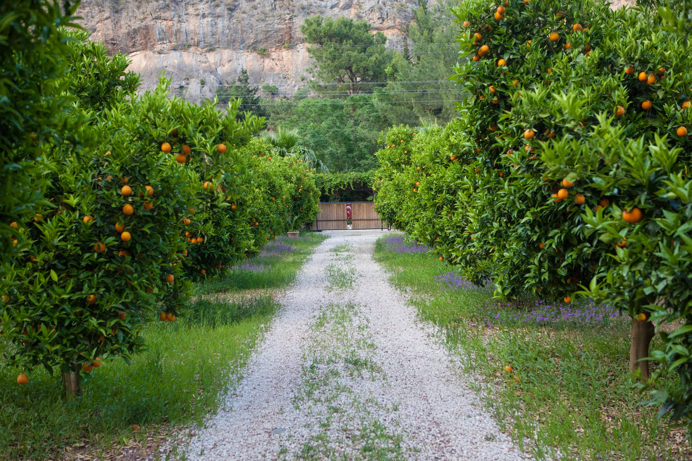 jessica-sanders.com  (4 of 29).jpg
