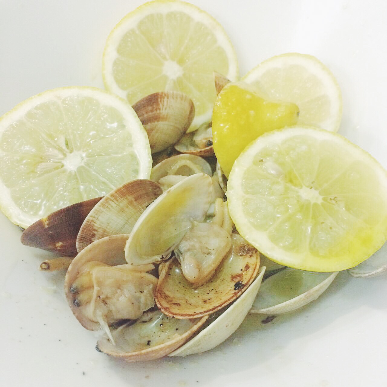 Clams with lemon at Casa Mari y Rufo, Barcelona