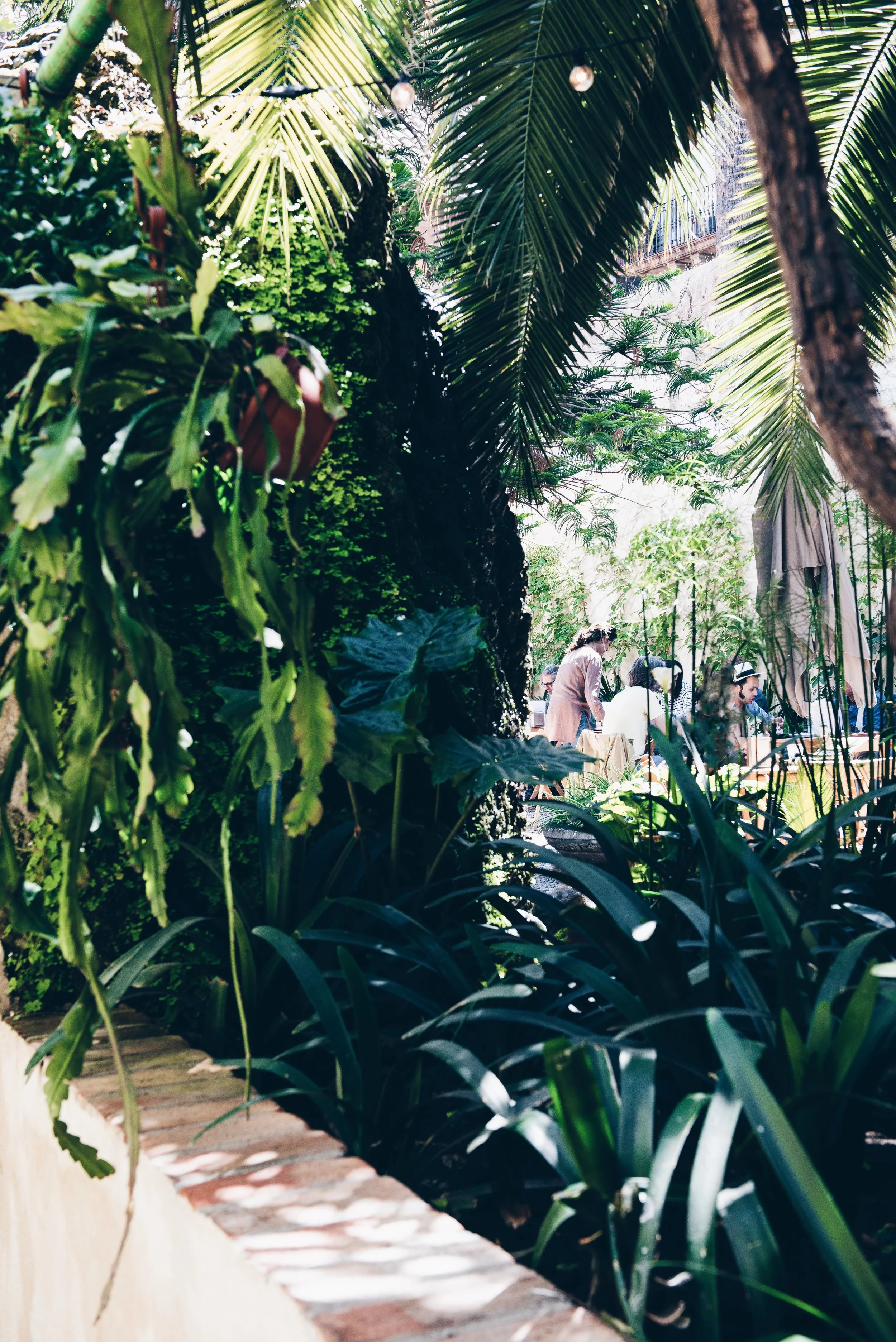 The Coolest Places to Eat this Summer — BARCELONA FOOD EXPERIENCE